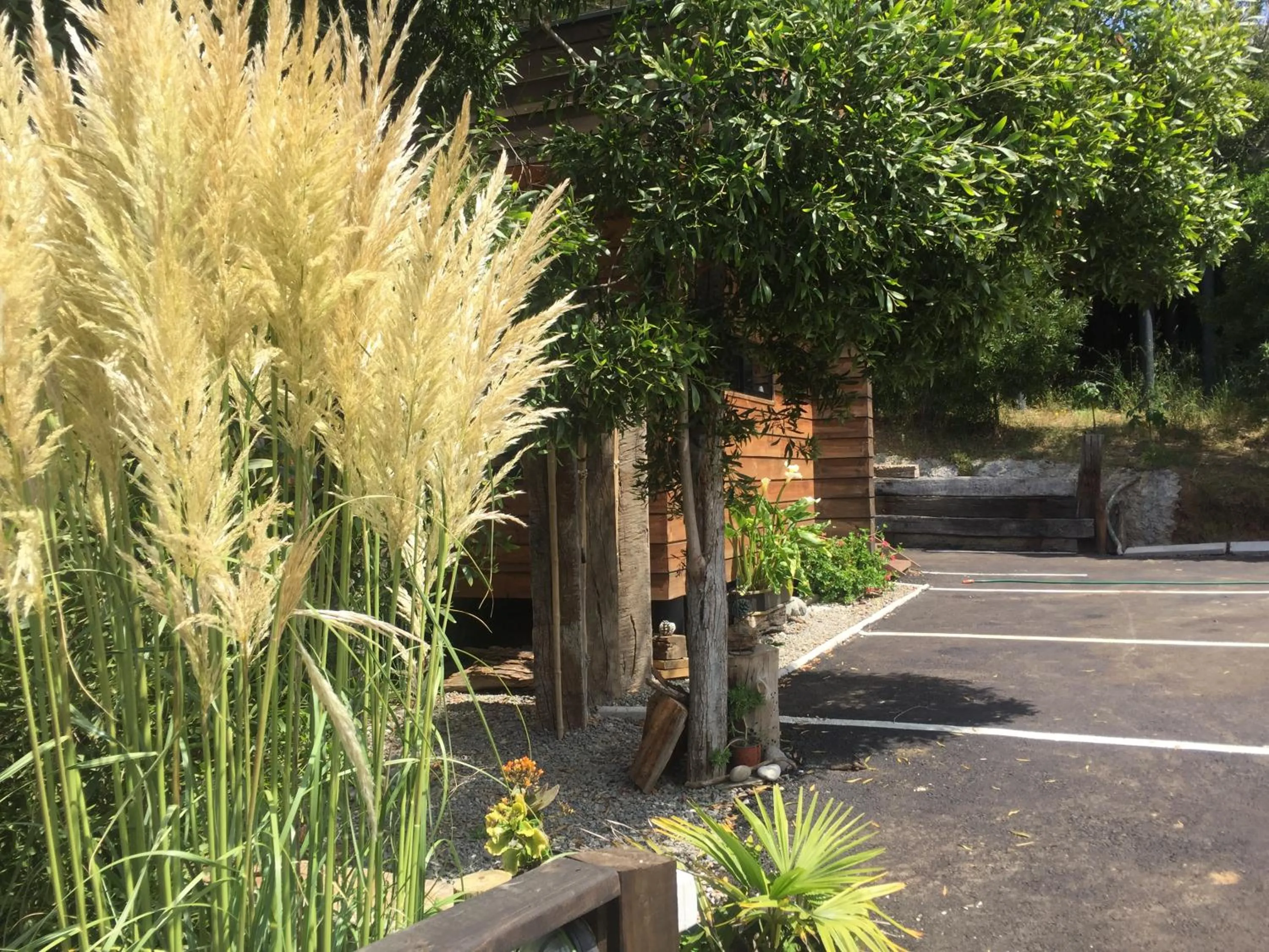 Garden in Cabaña del Bosque