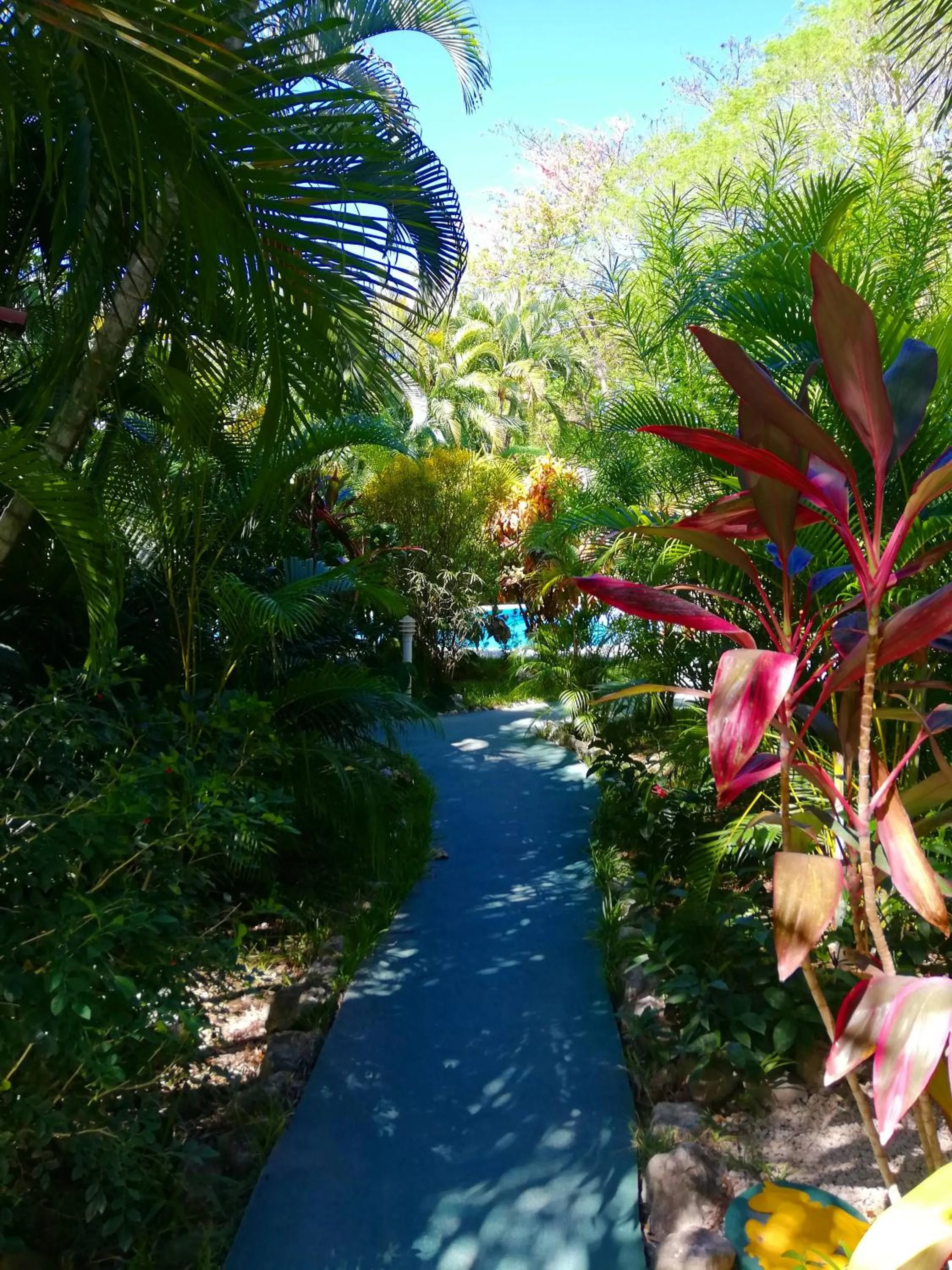 Natural landscape in Villas Verdes