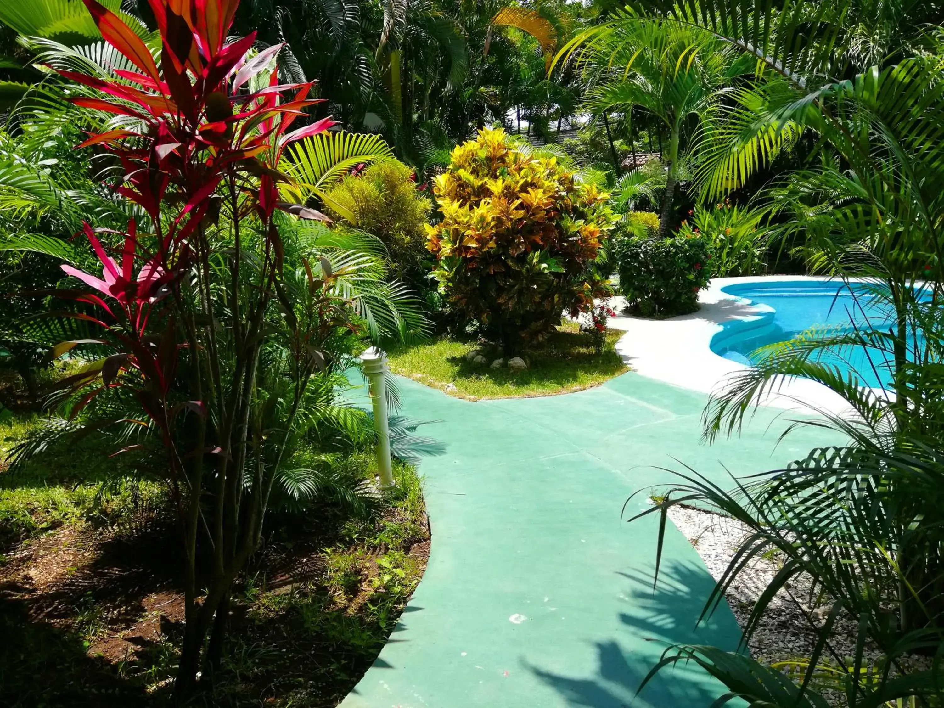 Garden view in Villas Verdes Garden view in Villas Verdes