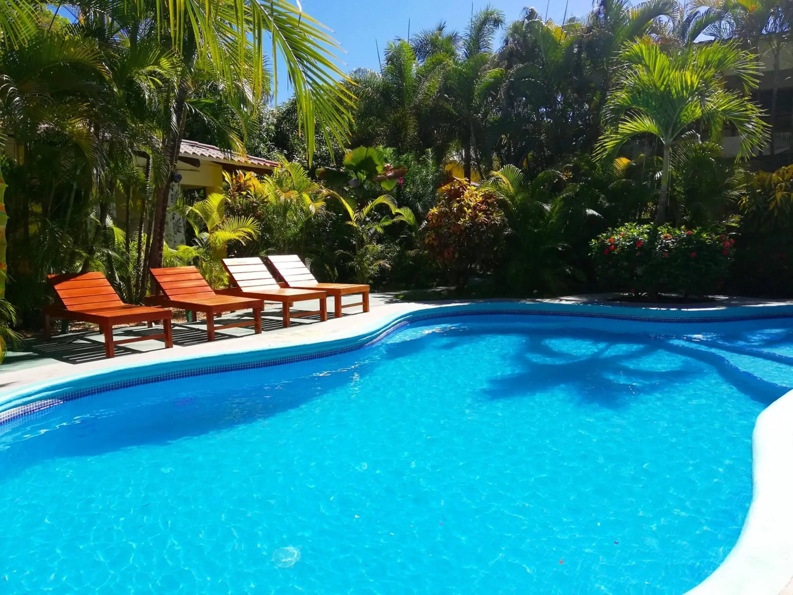 Swimming pool in Villas Verdes Swimming pool in Villas Verdes