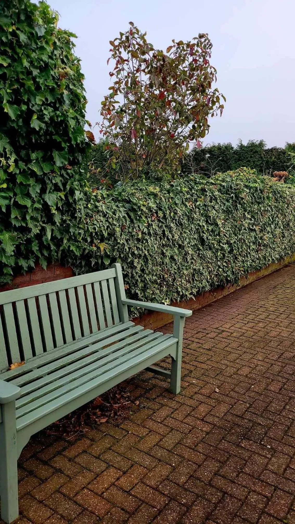 Garden in Church Farm Guest House