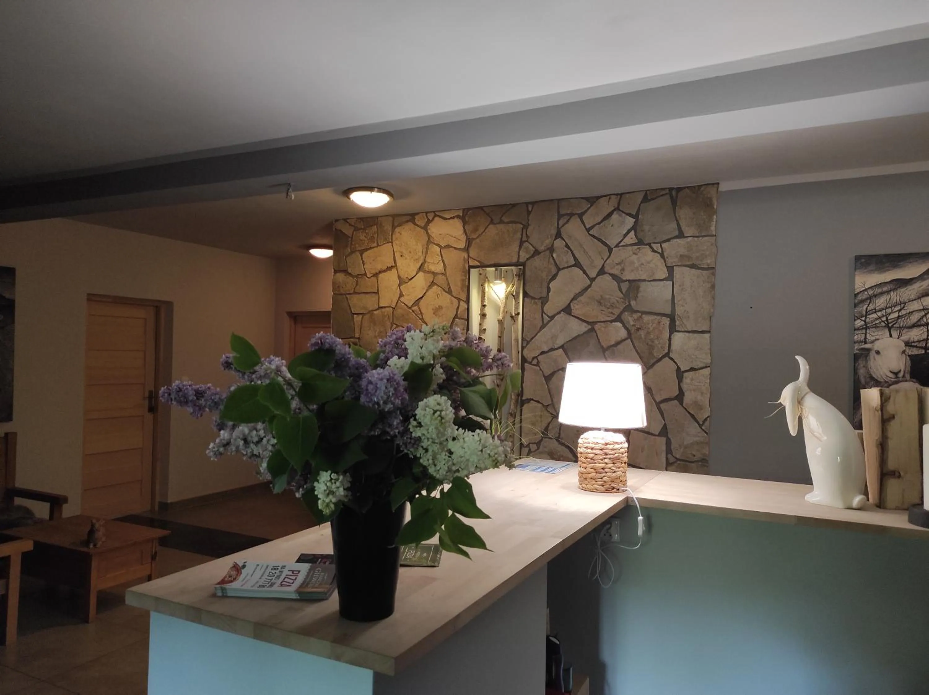 Windsurfing in Bystry Comfort