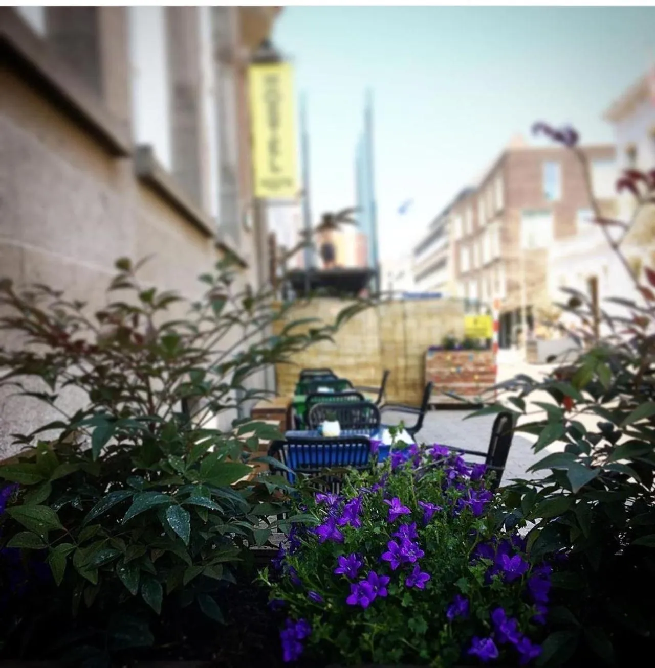 Property building in Hostel Roots