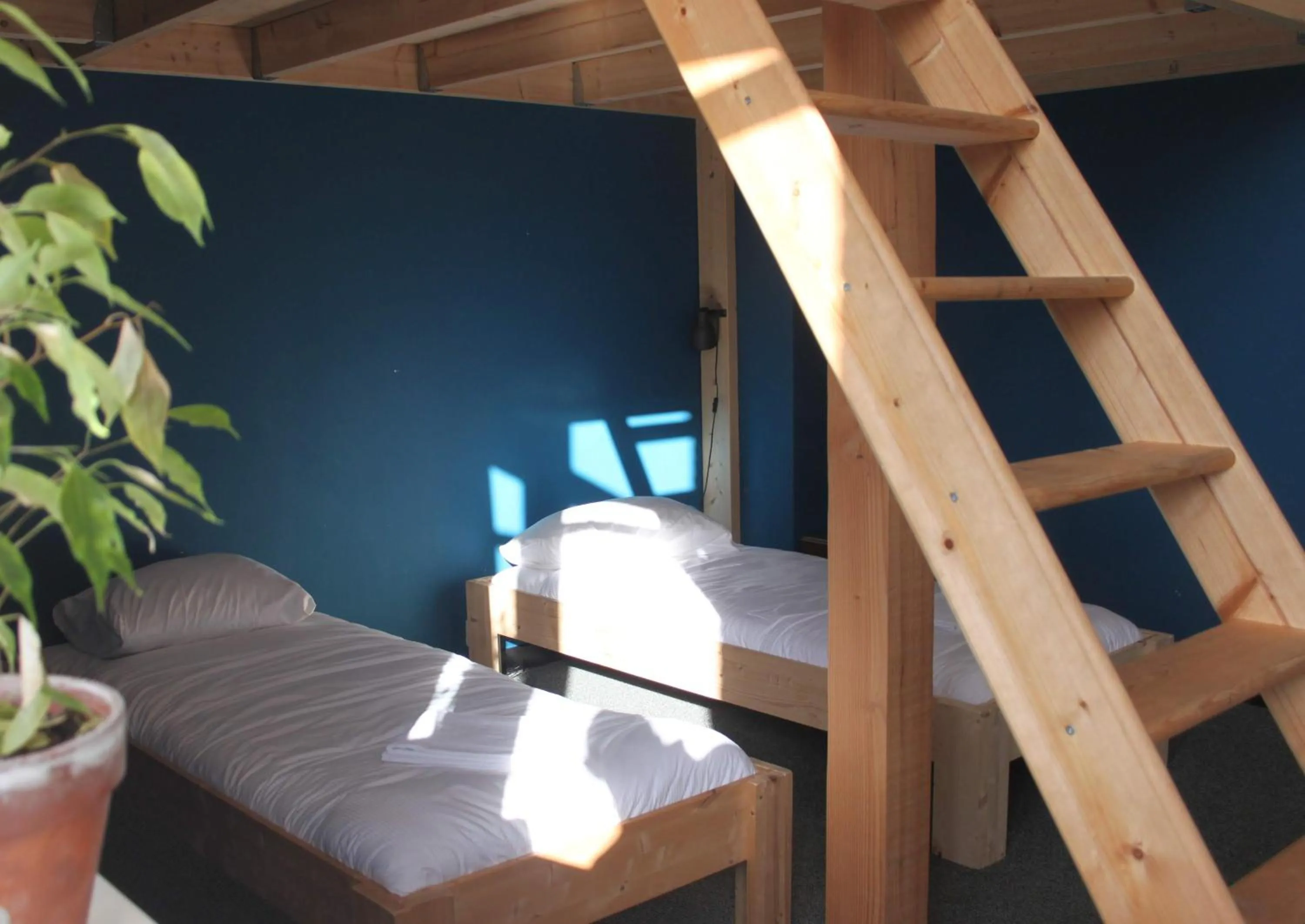 bunk bed, Bed in Hostel Roots