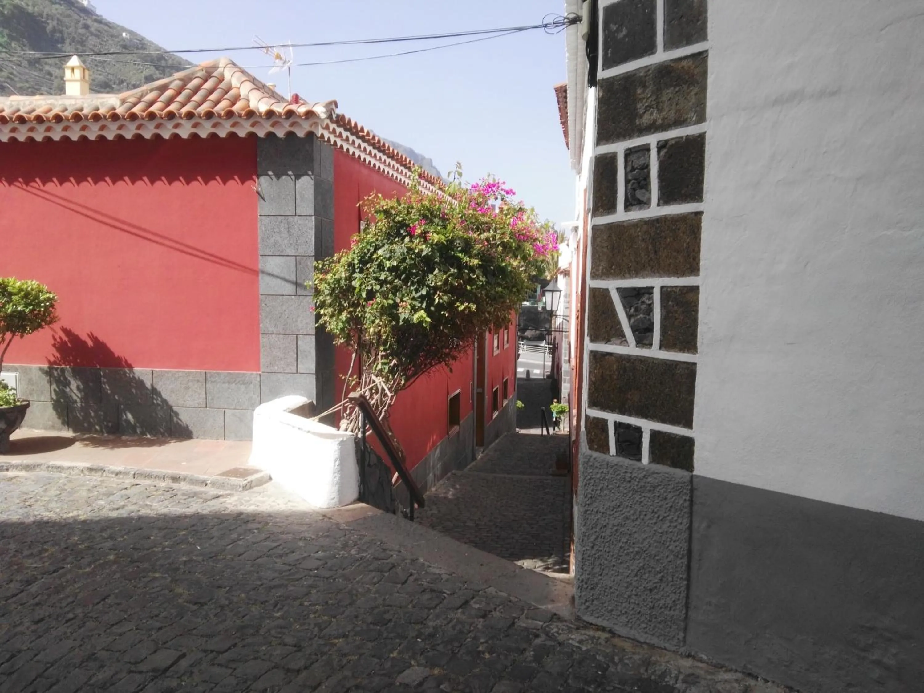 La Bouganvilla