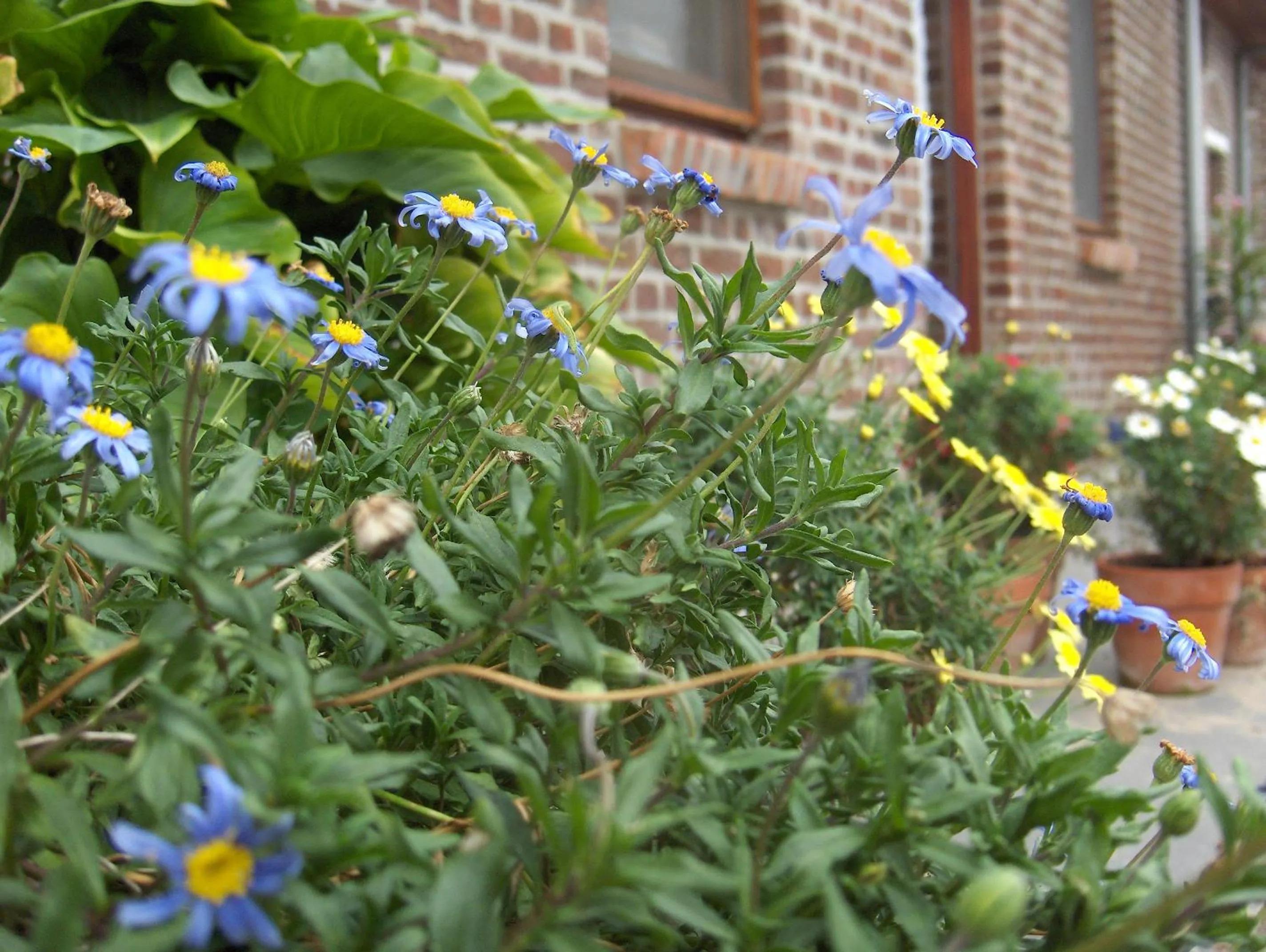 Property building in Varlet Farm