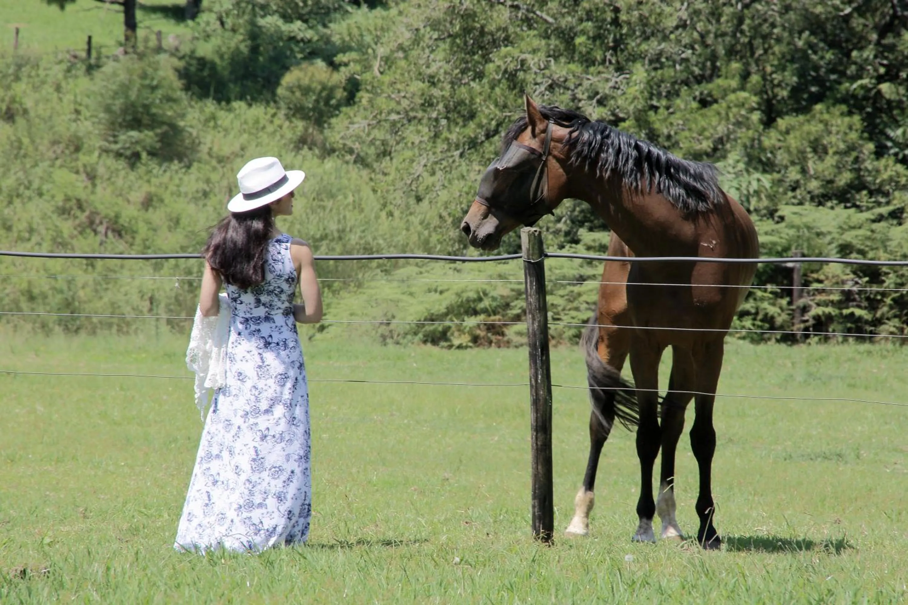 Animals in Halliwell Country Inn