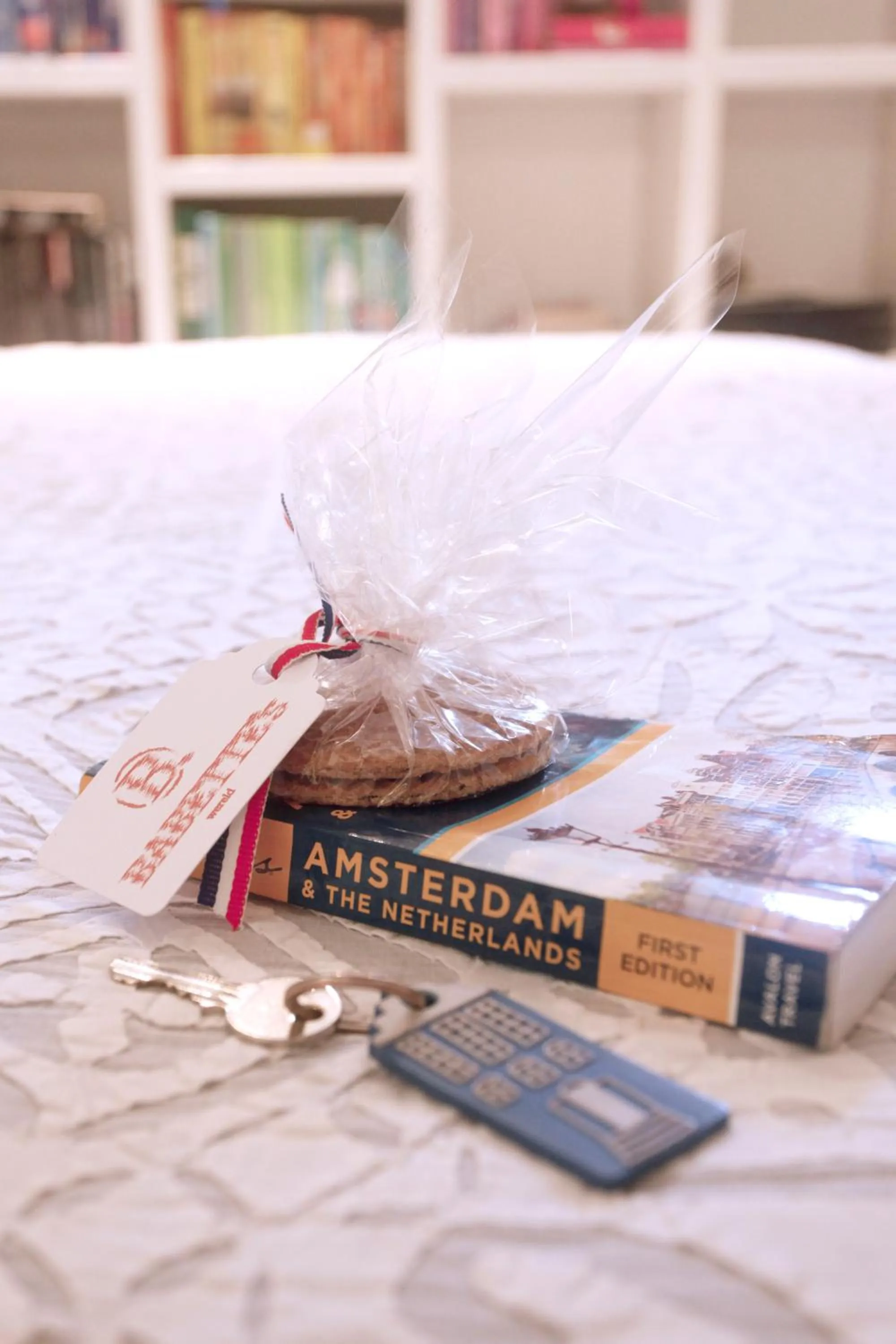 Library in Cozy Canal Studio