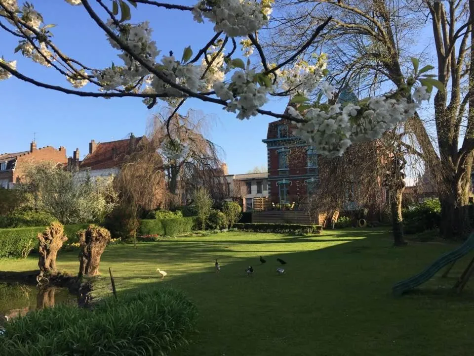 Garden in Villa Marguerite - Chambres d'Hôtes