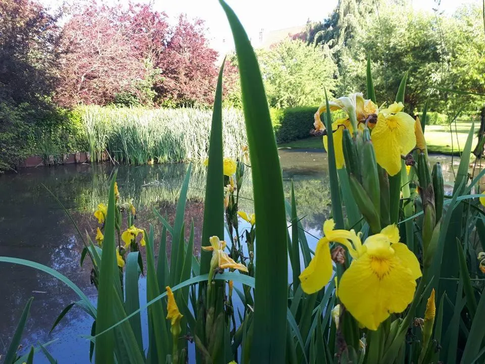 Villa Marguerite - Chambres d'Hôtes
