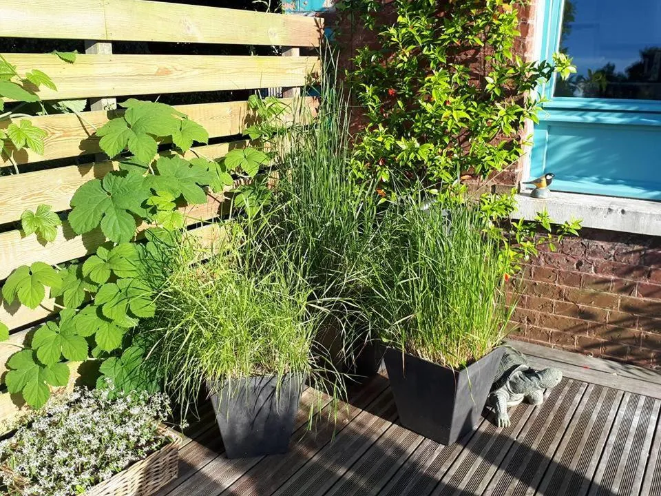 Villa Marguerite - Chambres d'Hôtes