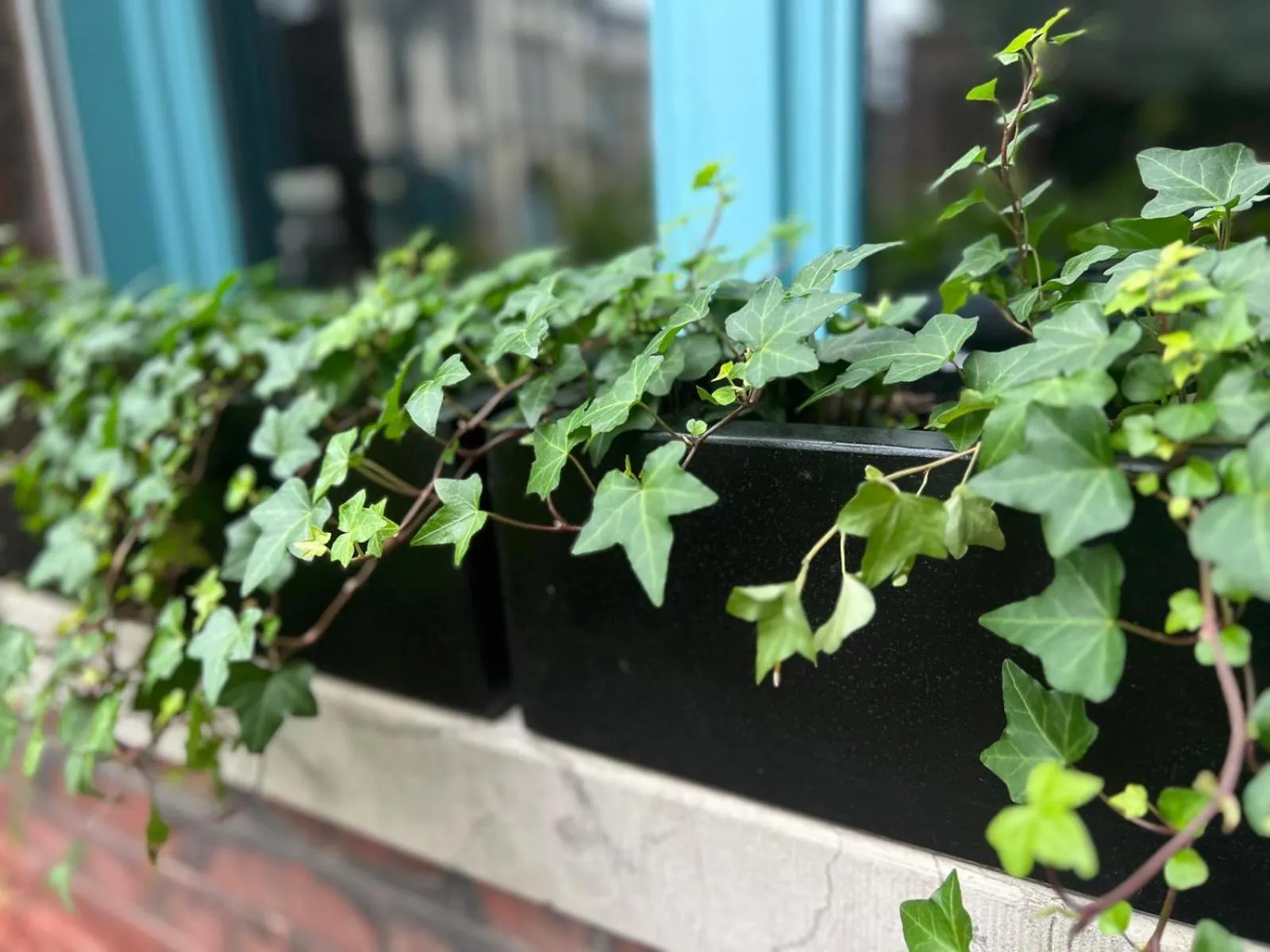 Villa Marguerite - Chambres d'Hôtes