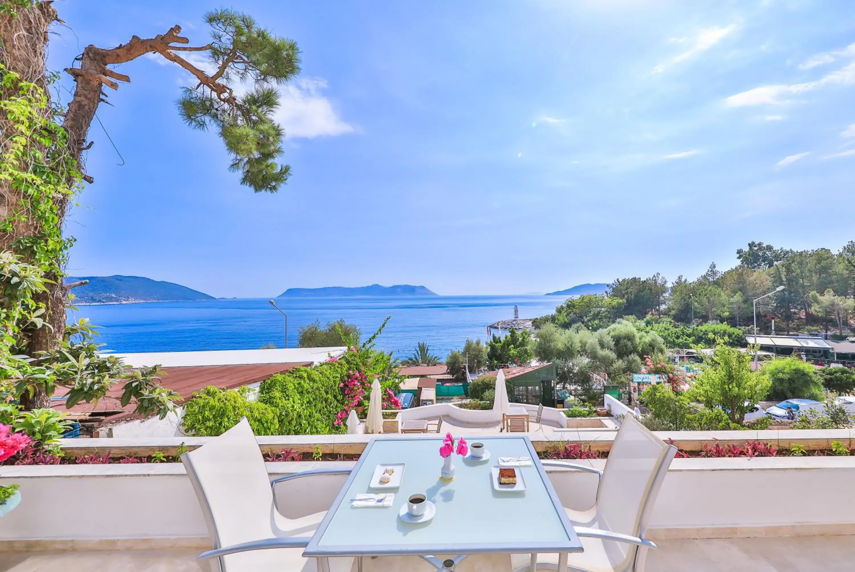 Balcony/Terrace in Gardenia Hotel