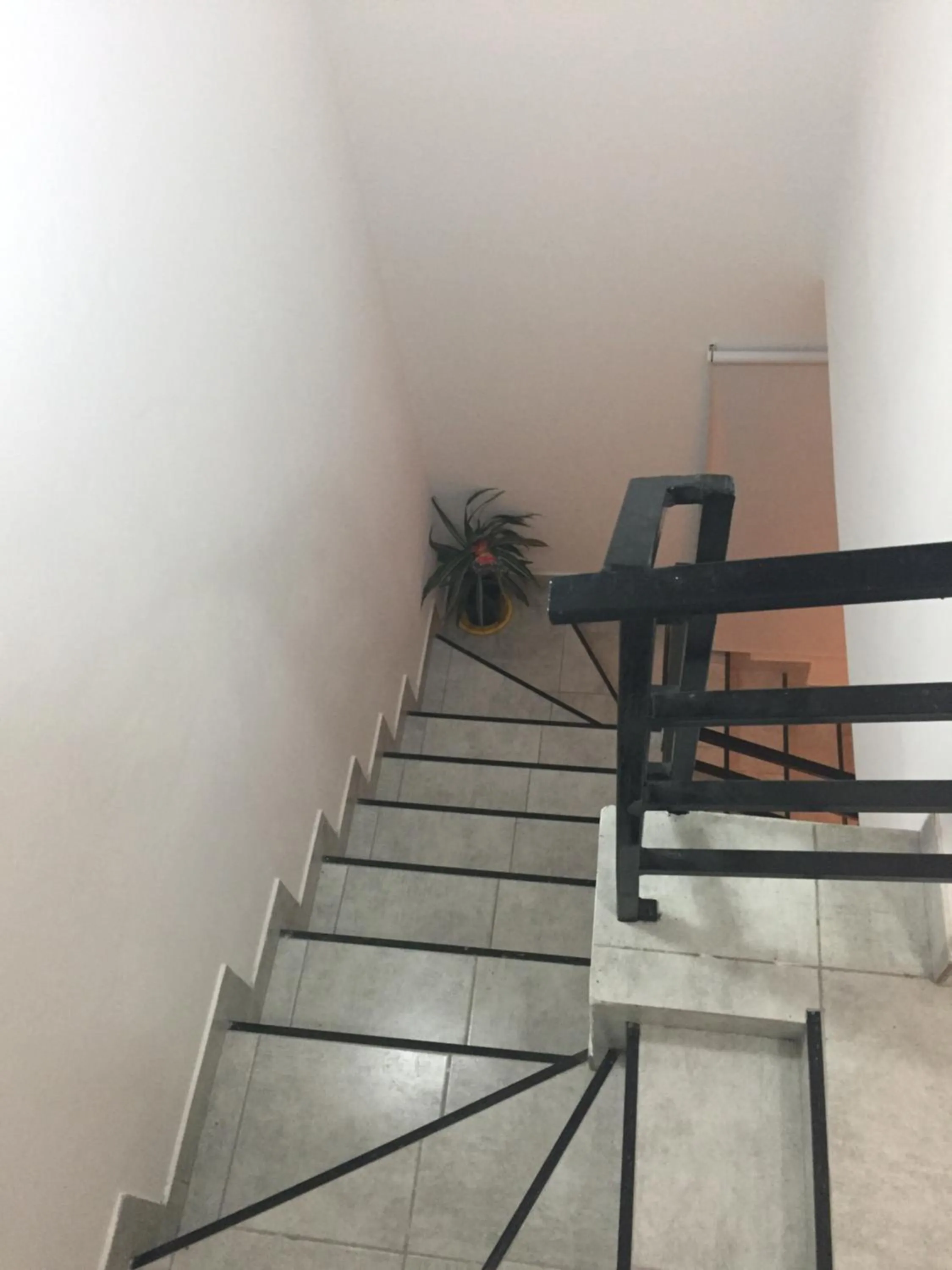 Soñada
