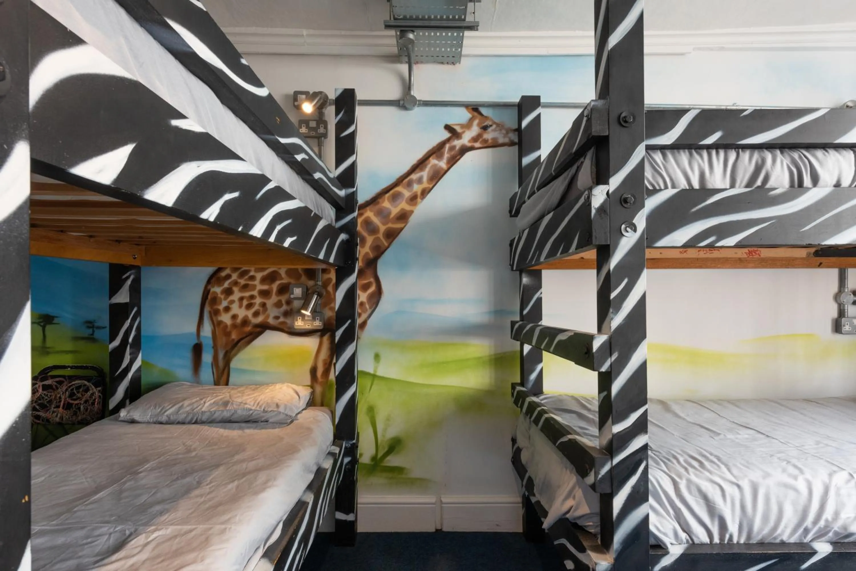 bunk bed, Bed in The Full Moon Backpackers