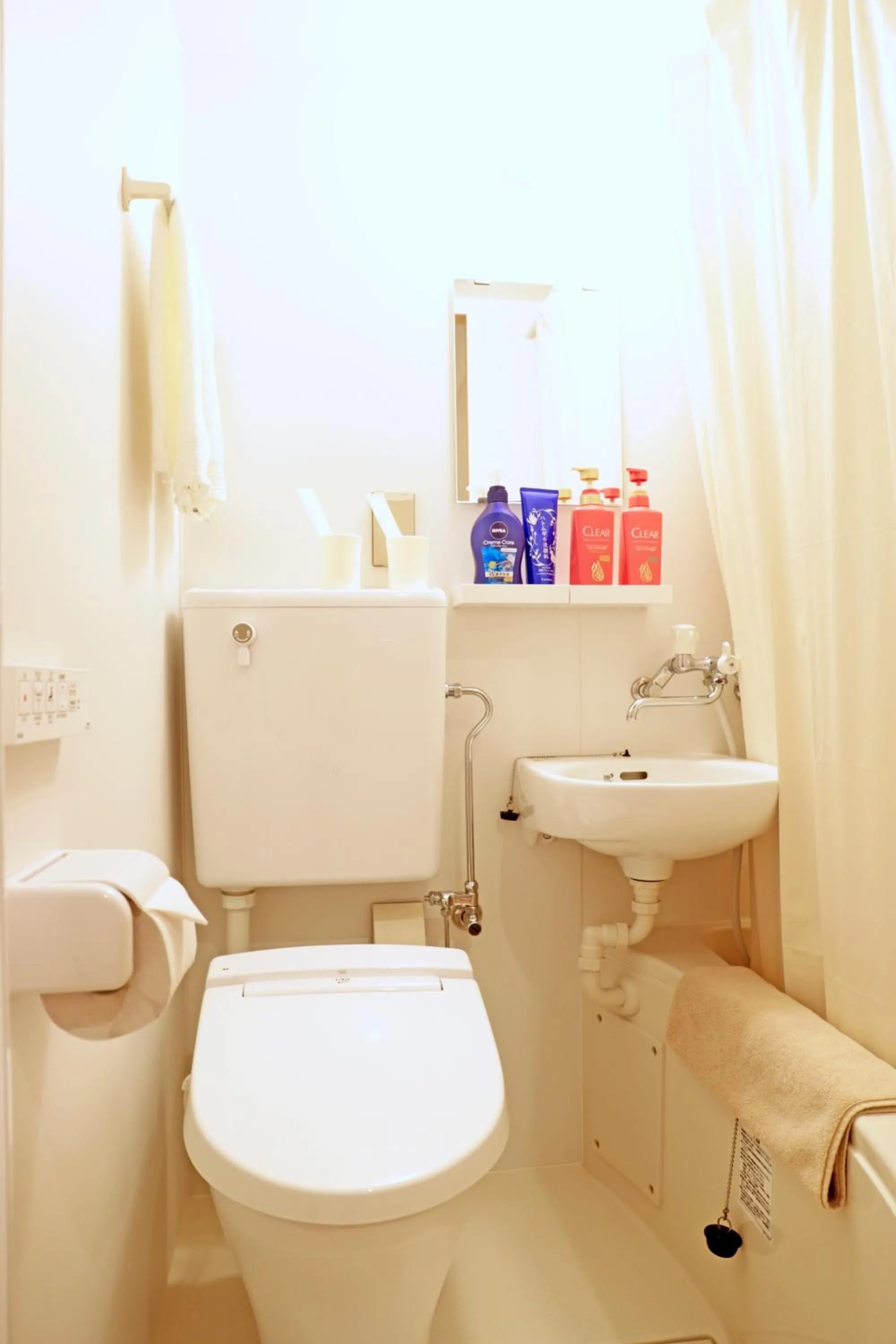 Toilet in Plum House Otaru