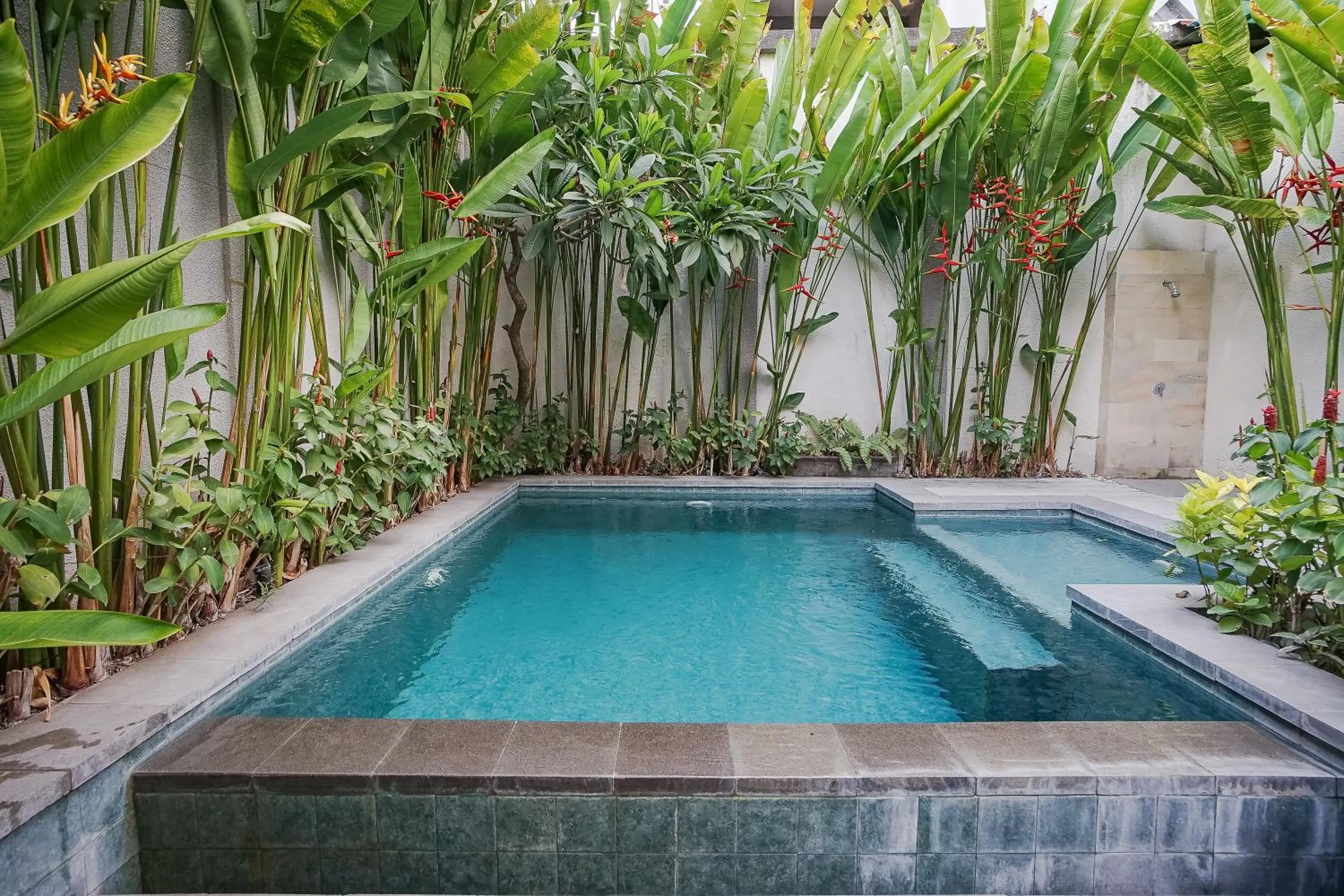 Garden view in Dee Mansion