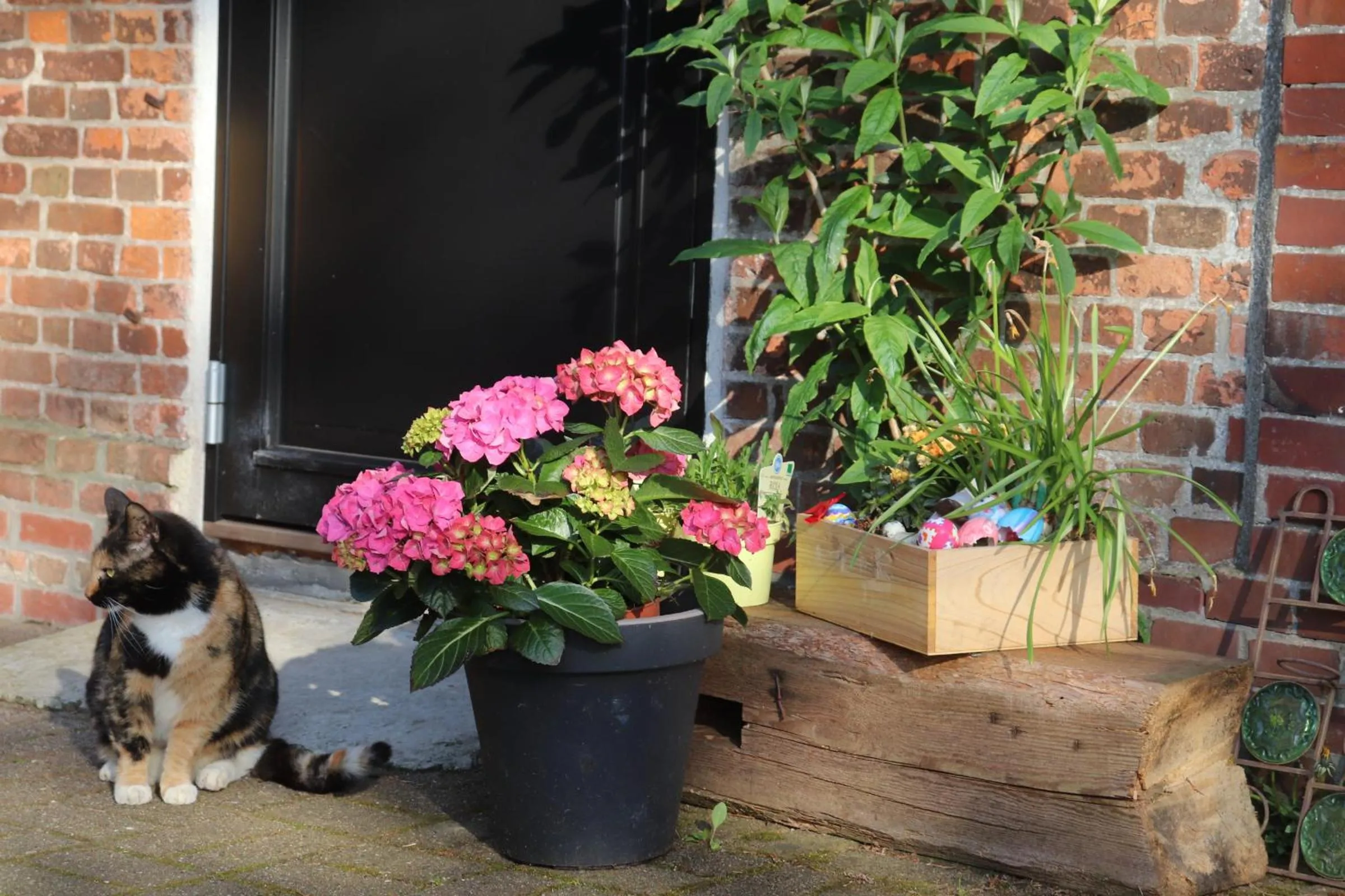 Property building in Altes Pastorat