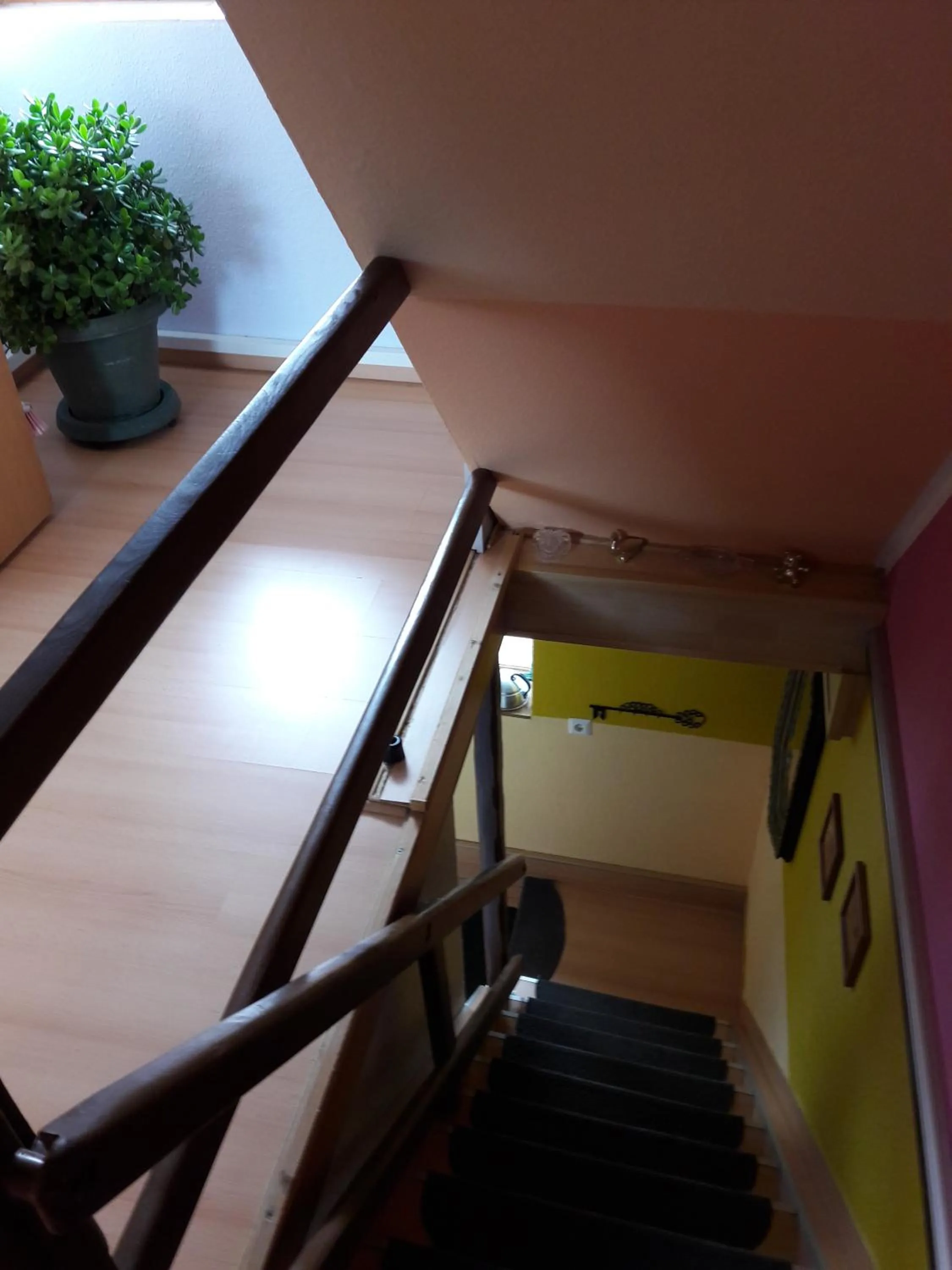 Area and facilities in Ferienwohnung Osterbrink