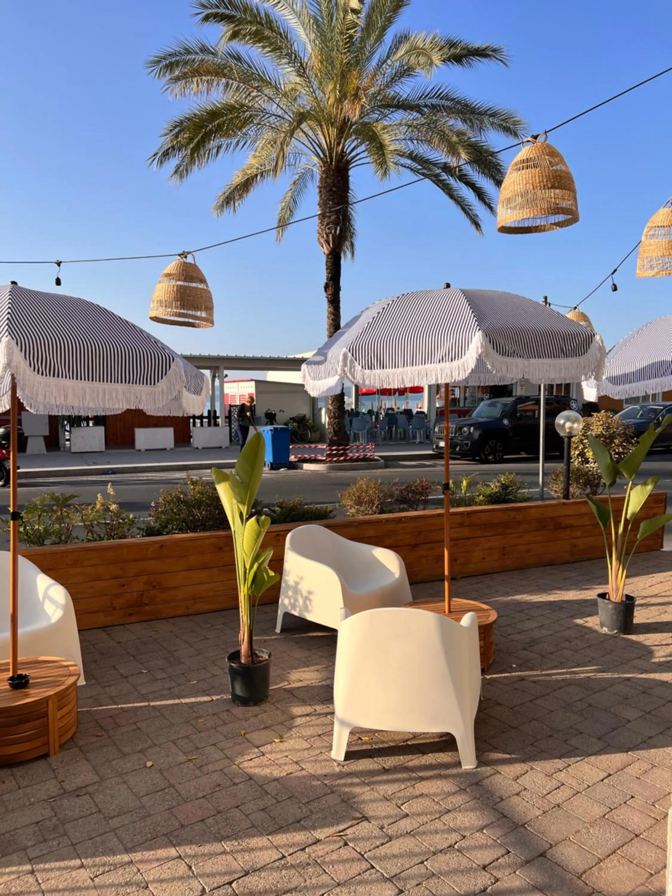 Garden in Hotel Jolly Roger