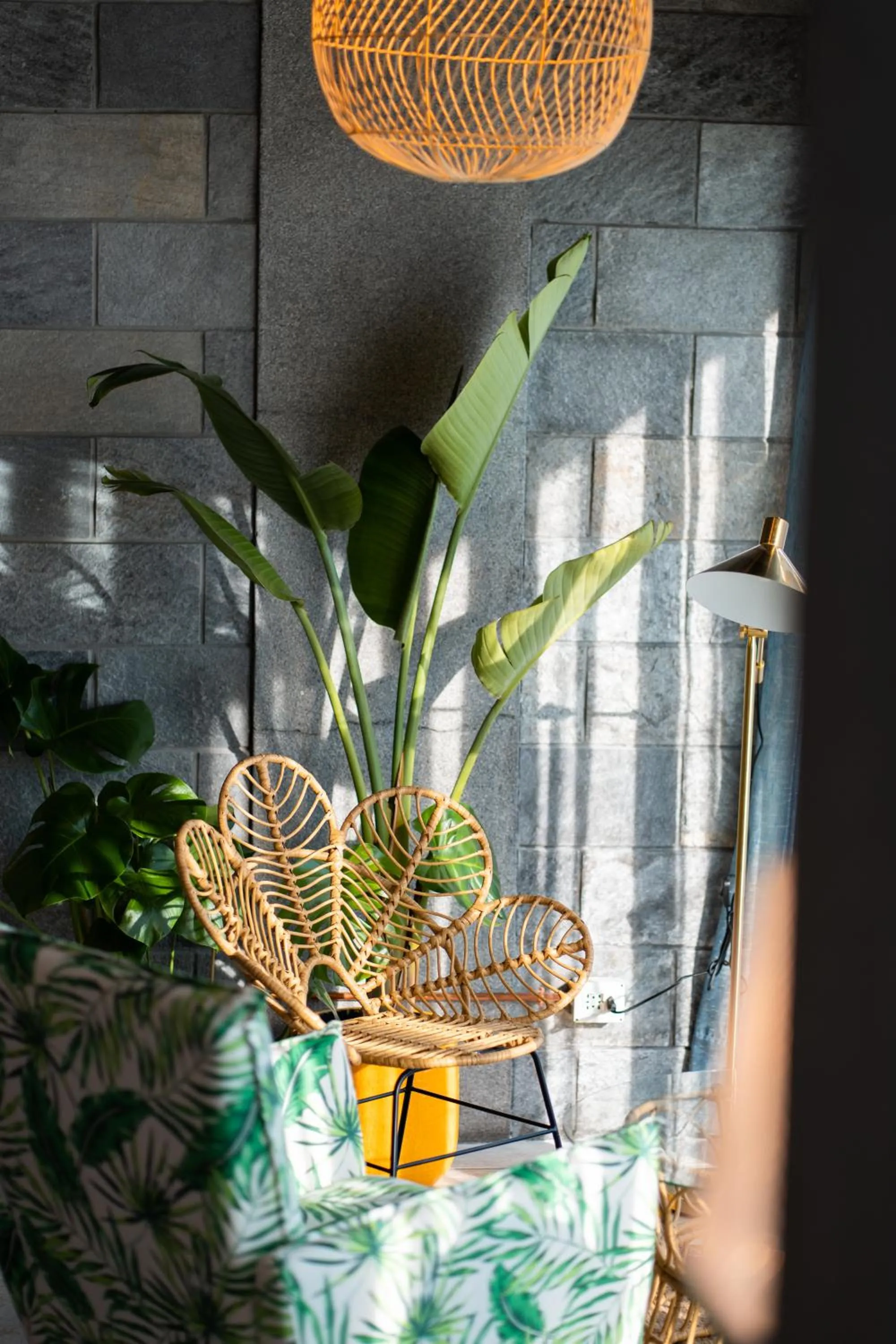 Lounge or bar in Hotel Jolly Roger