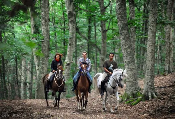 Day in B&B Una Rotonda sul mare