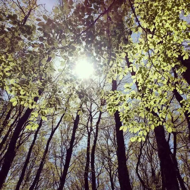 Day in B&B Una Rotonda sul mare