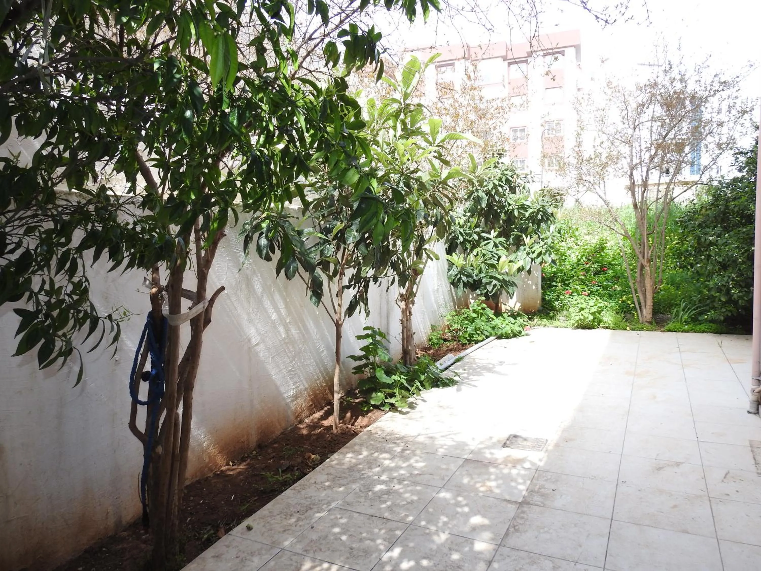 Garden in Ertunalp Apartment