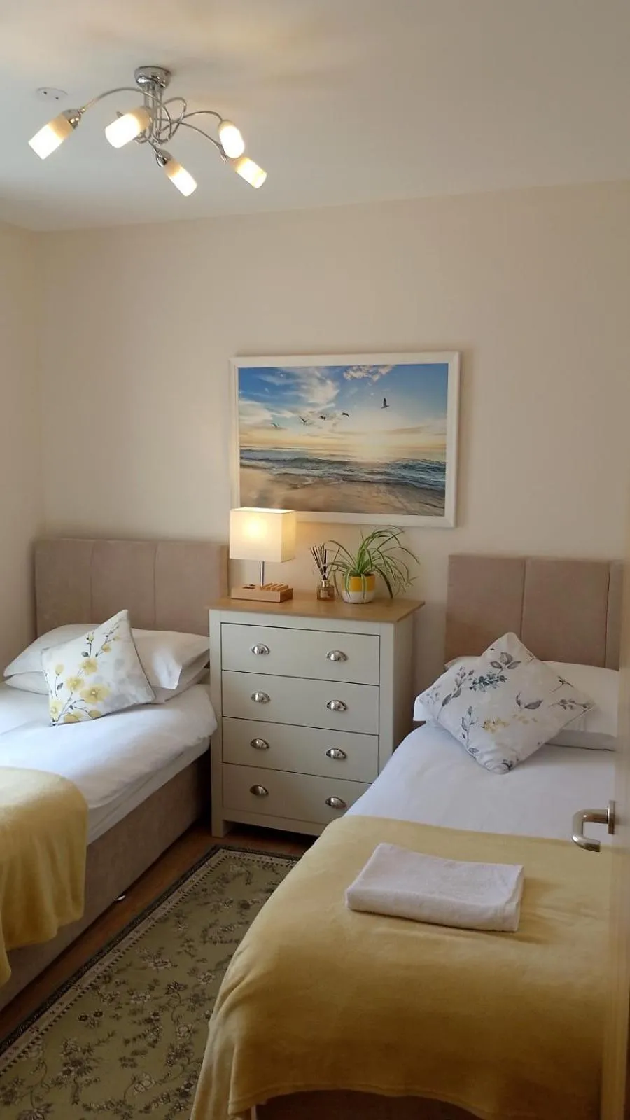 Apt 7A Waterfoot Apartment