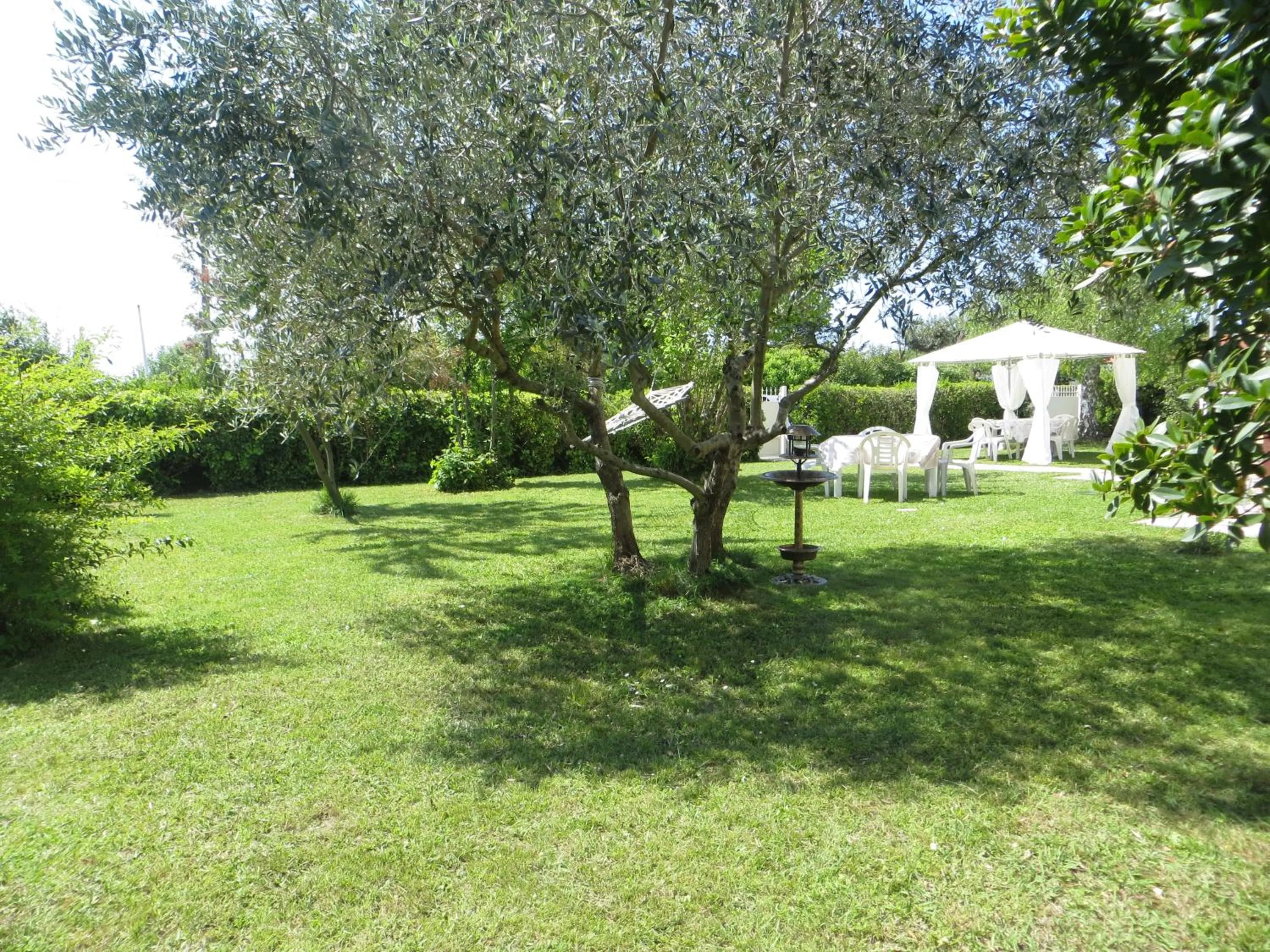 Garden in La Mimosa Chic