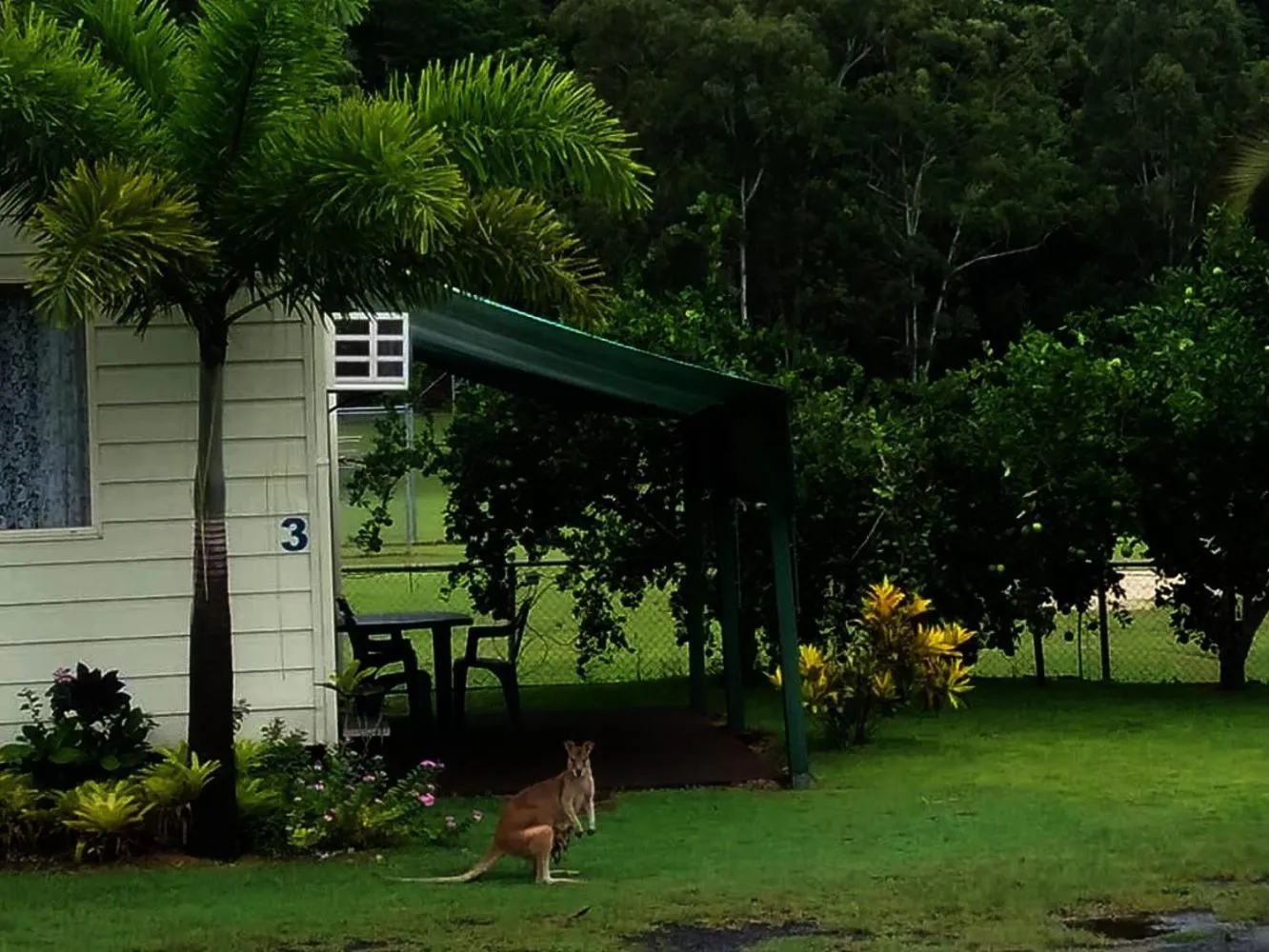 Garden view in Flying Fish Point Tourist Park