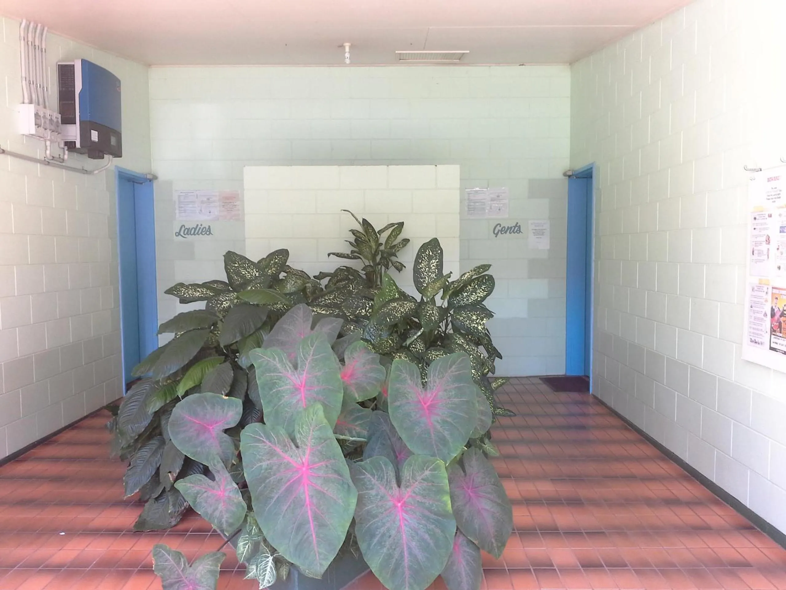 Property building in Flying Fish Point Tourist Park