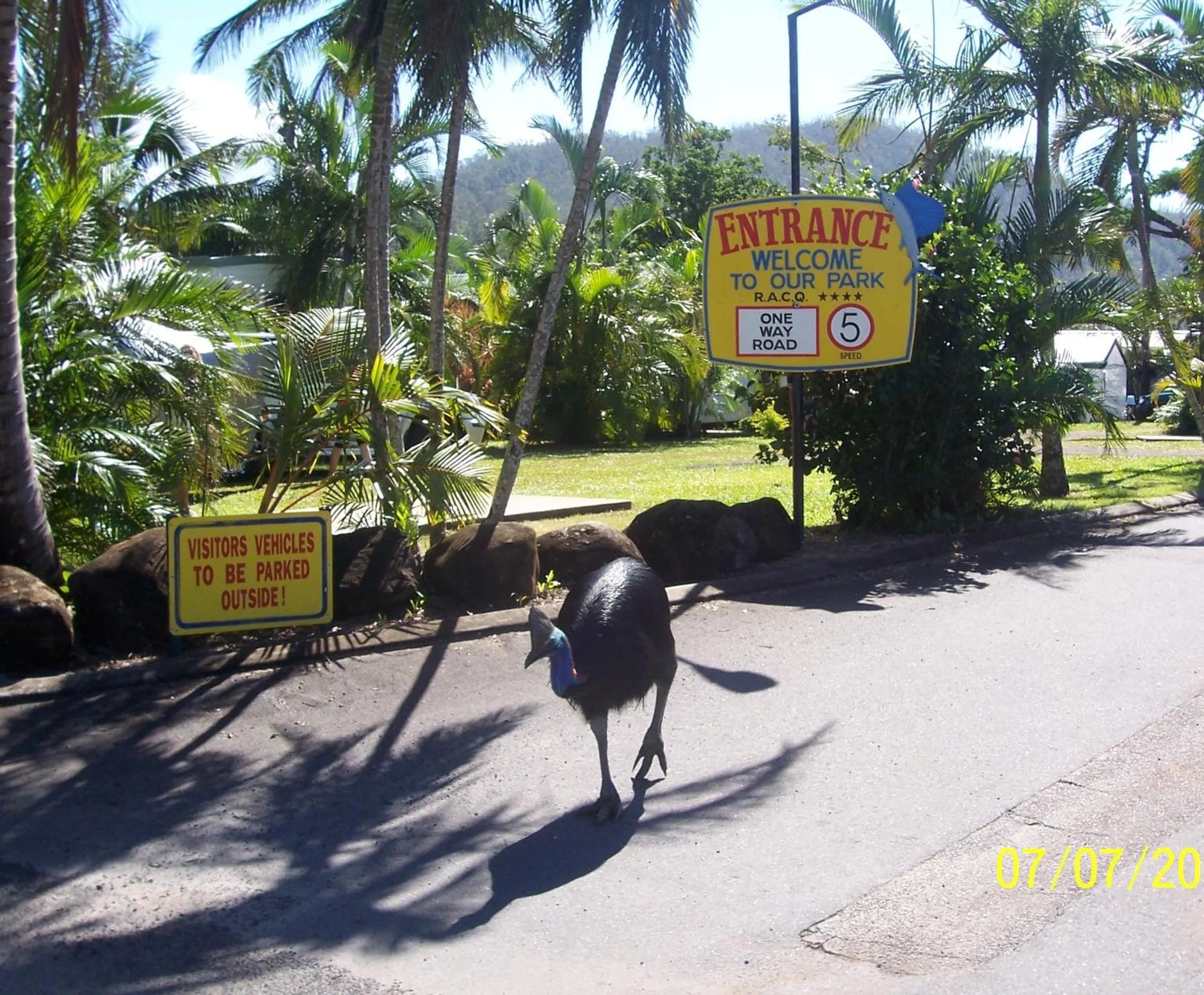 Animals in Flying Fish Point Tourist Park