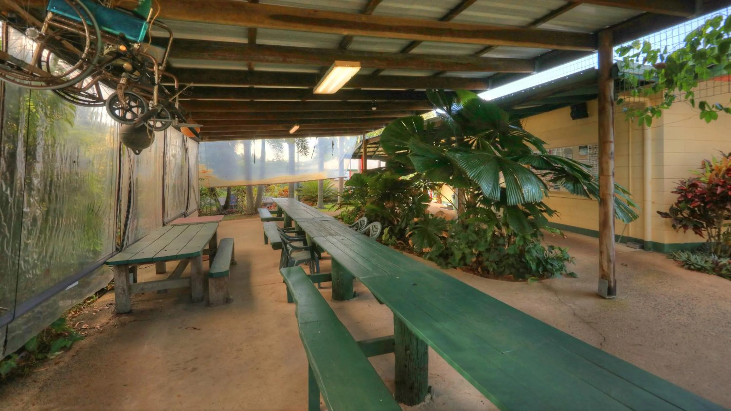 BBQ facilities in Flying Fish Point Tourist Park
