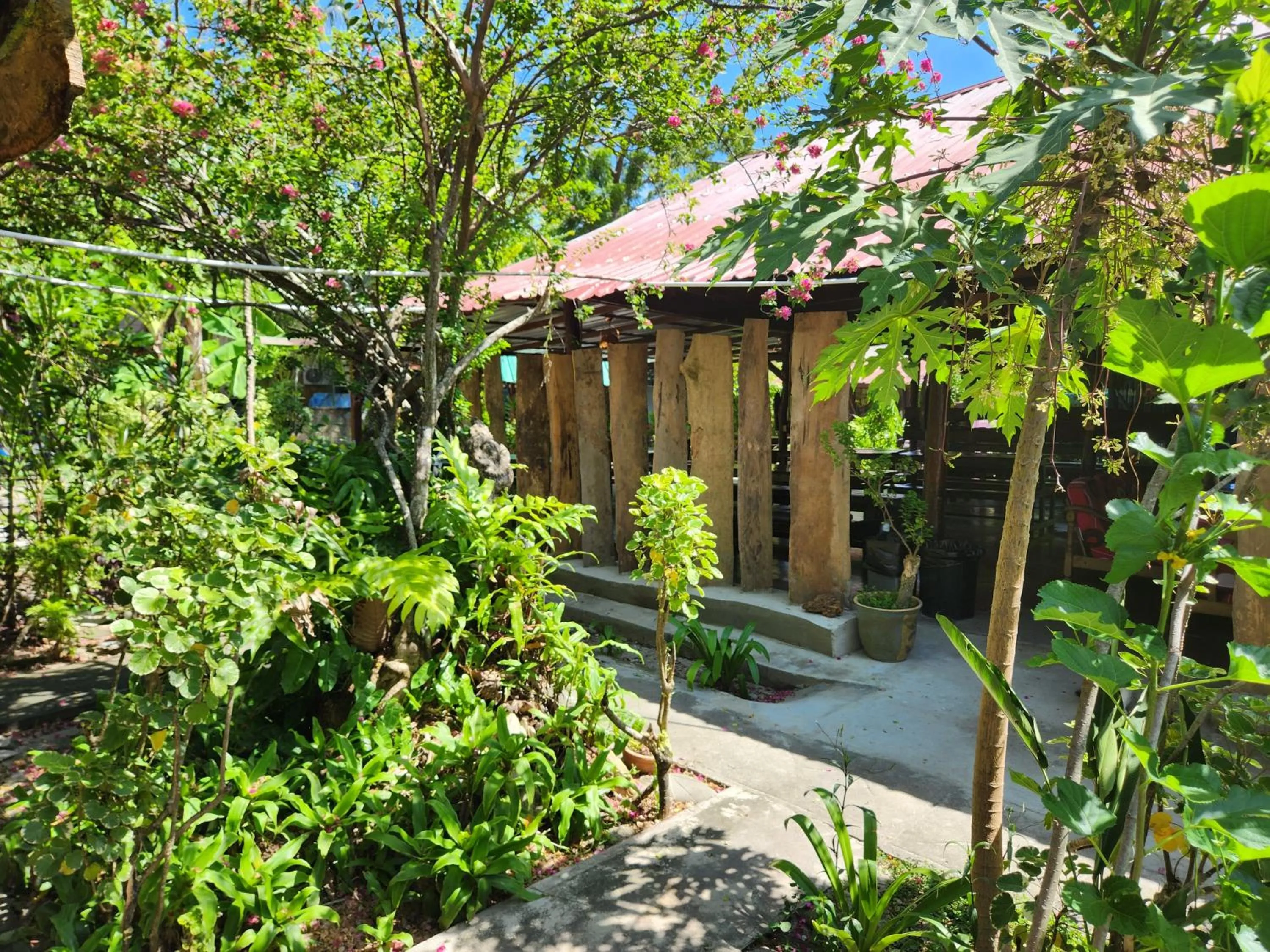 Gecko Guesthouse