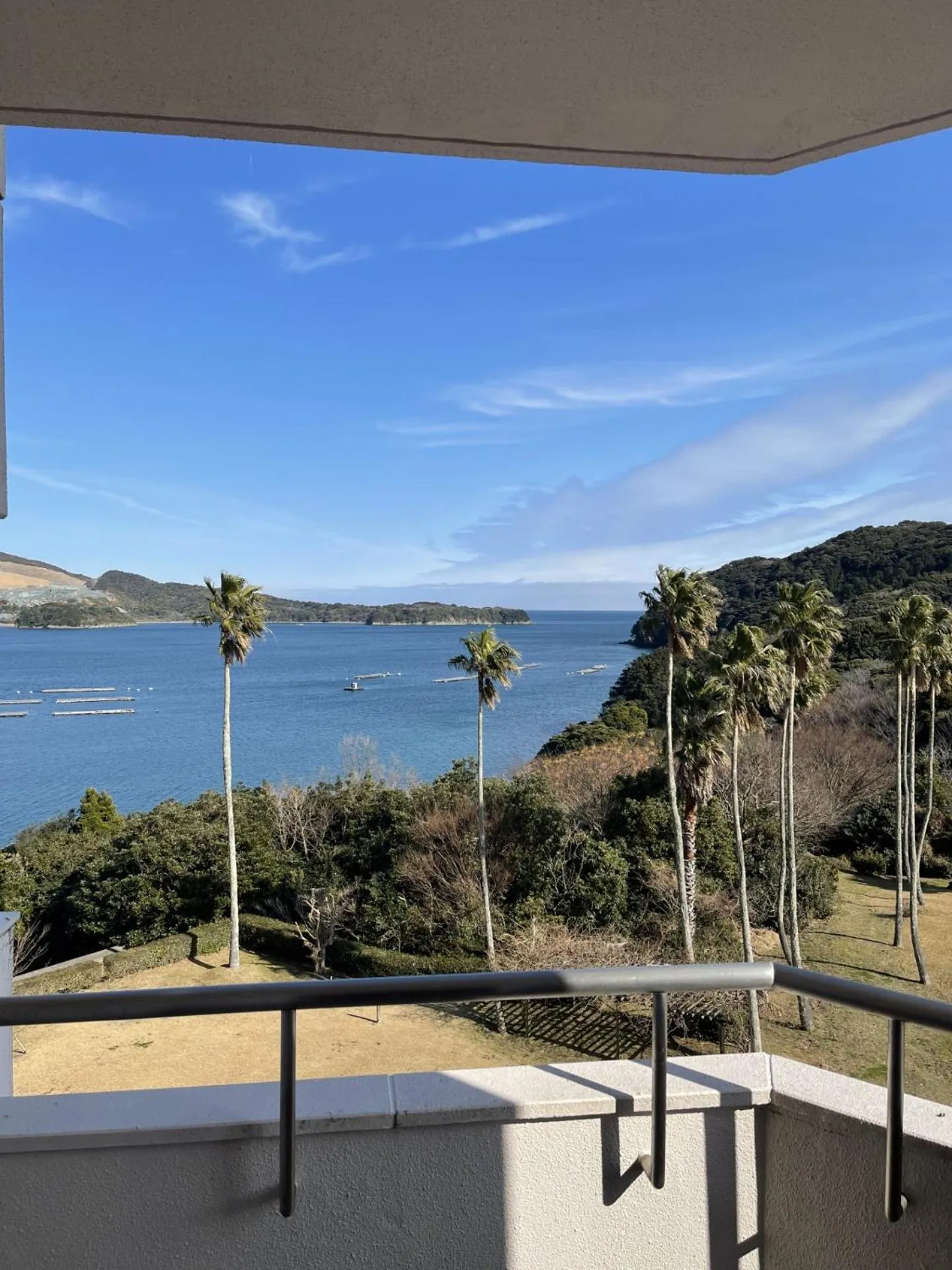 Wisterian Life Club Toba