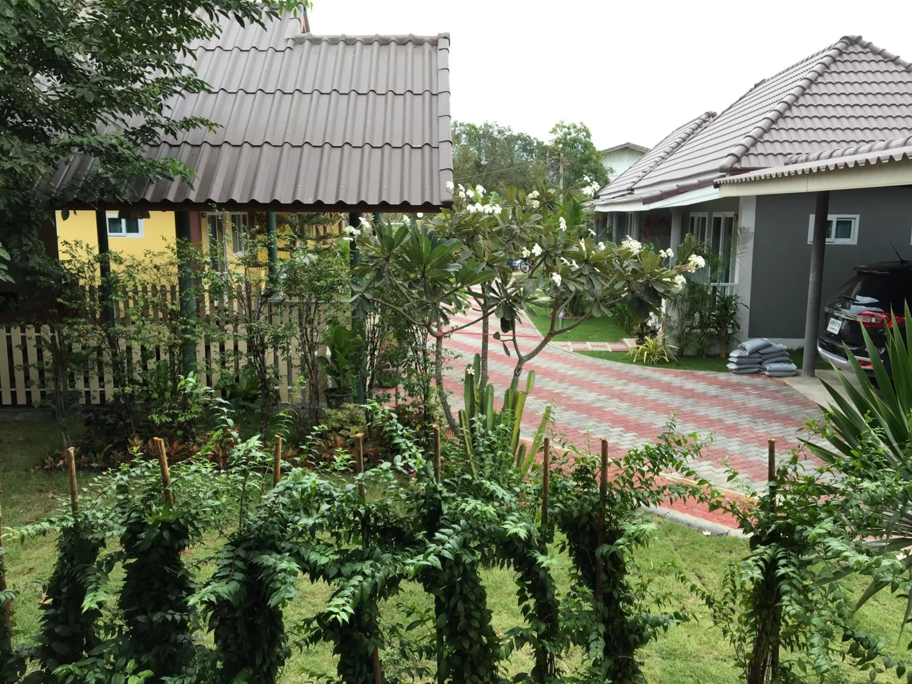 Garden in Baan Penny