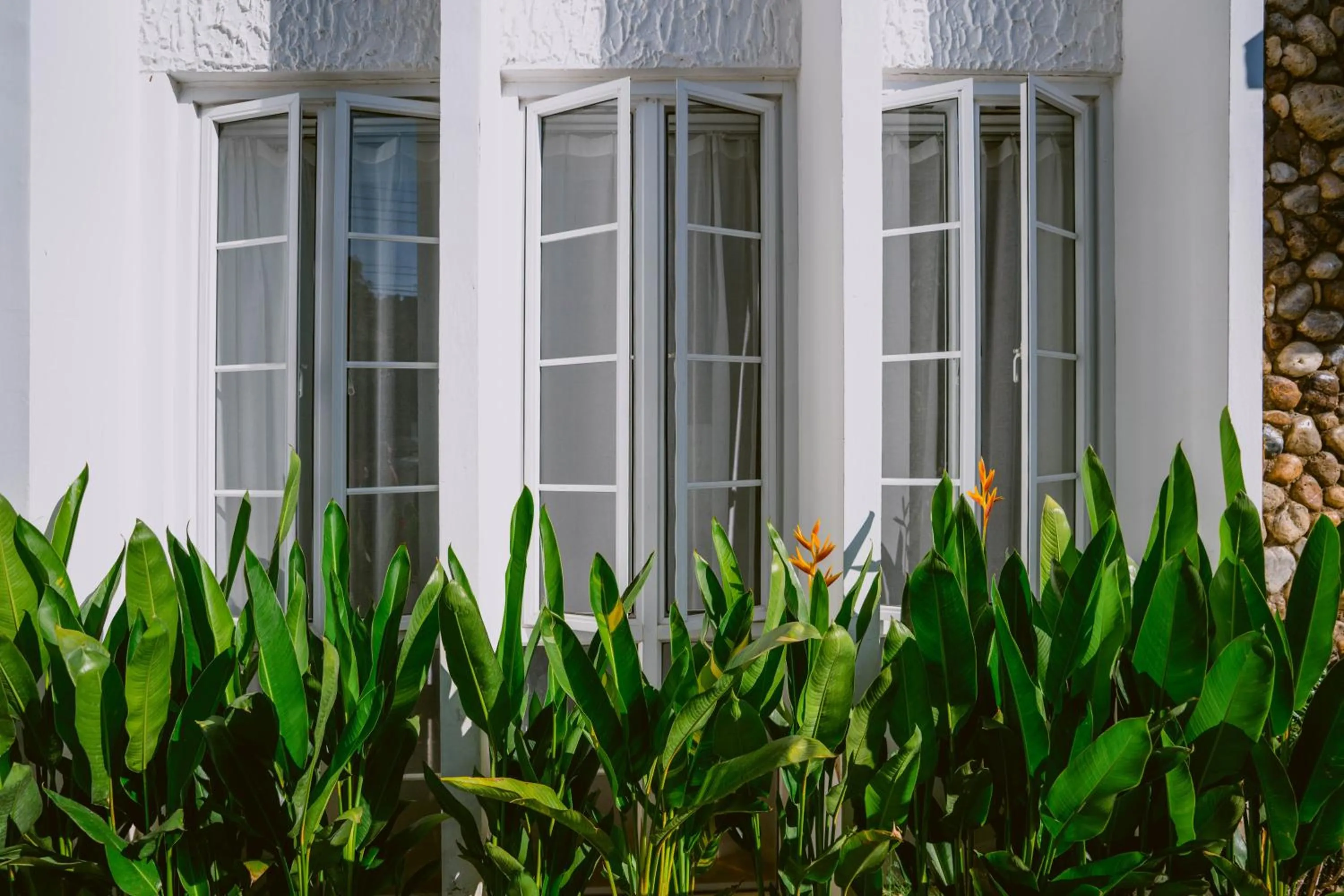 Mammoth Boutique Hotel