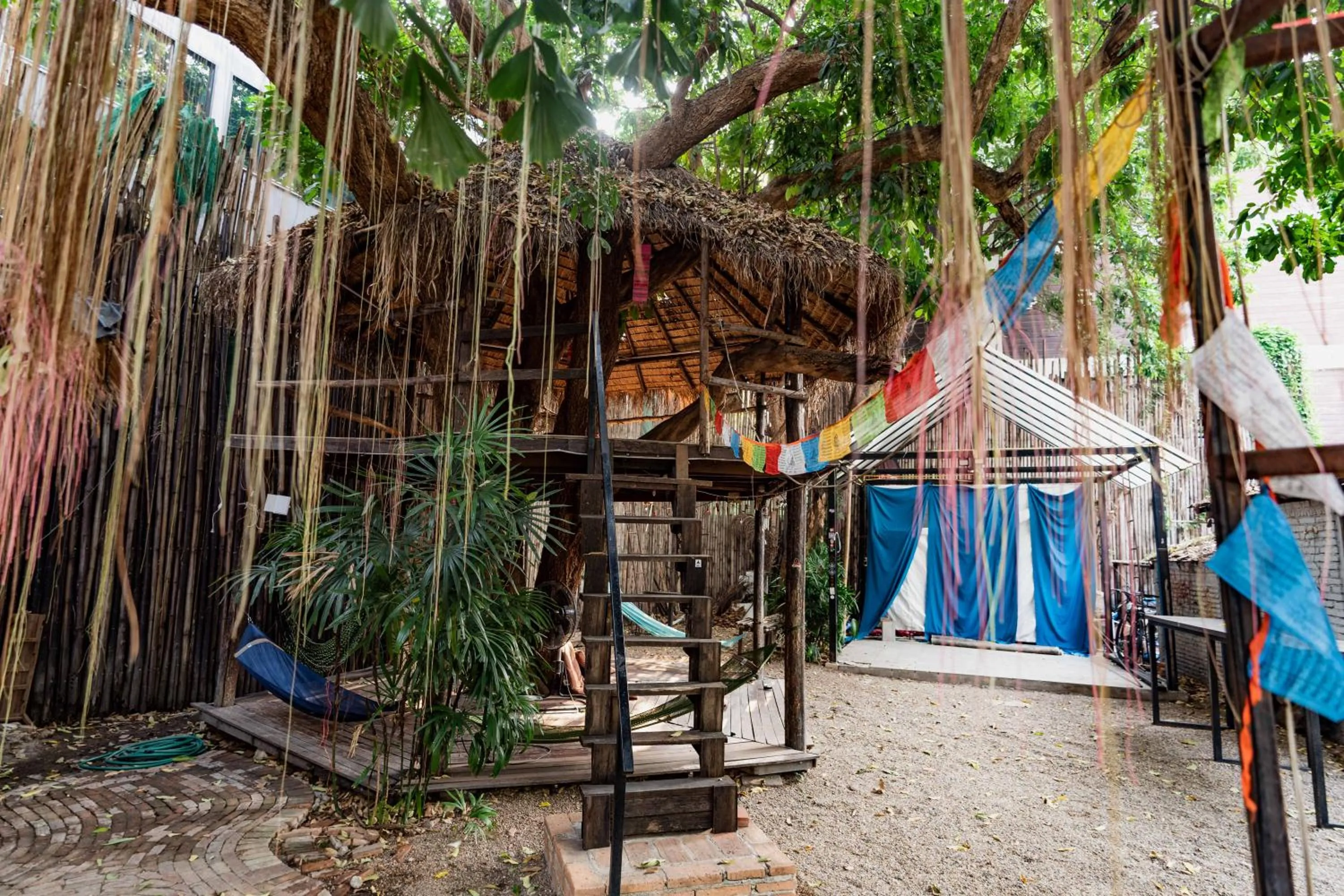 Property building in Mammoth Boutique Hotel