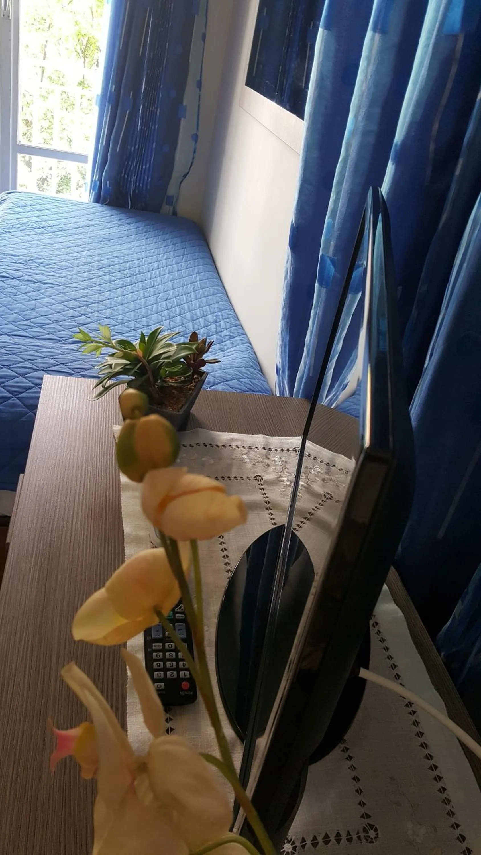 TV and multimedia in Domina Romae B&B