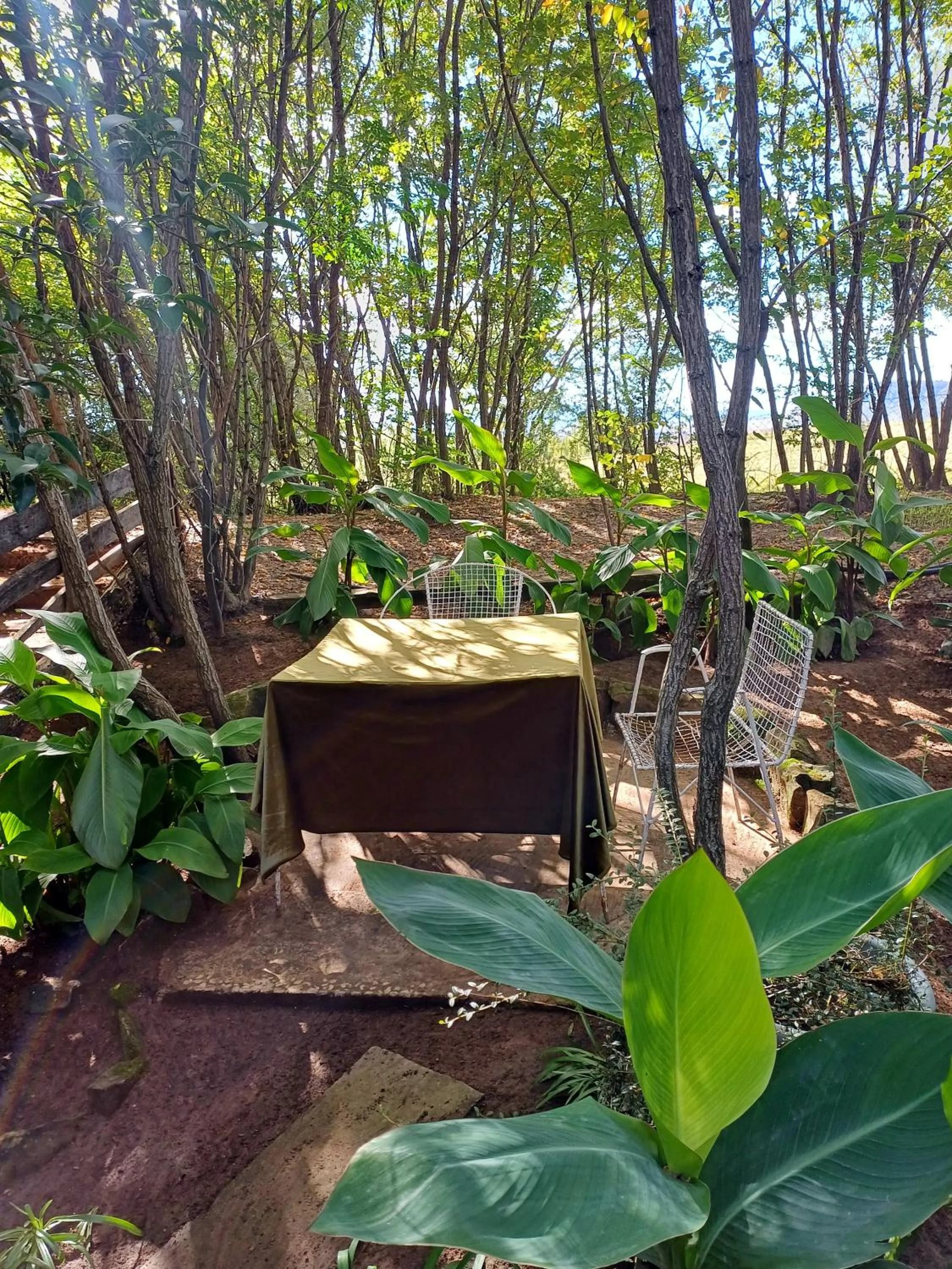 Garden in Affi lande Boetiek guestfarm