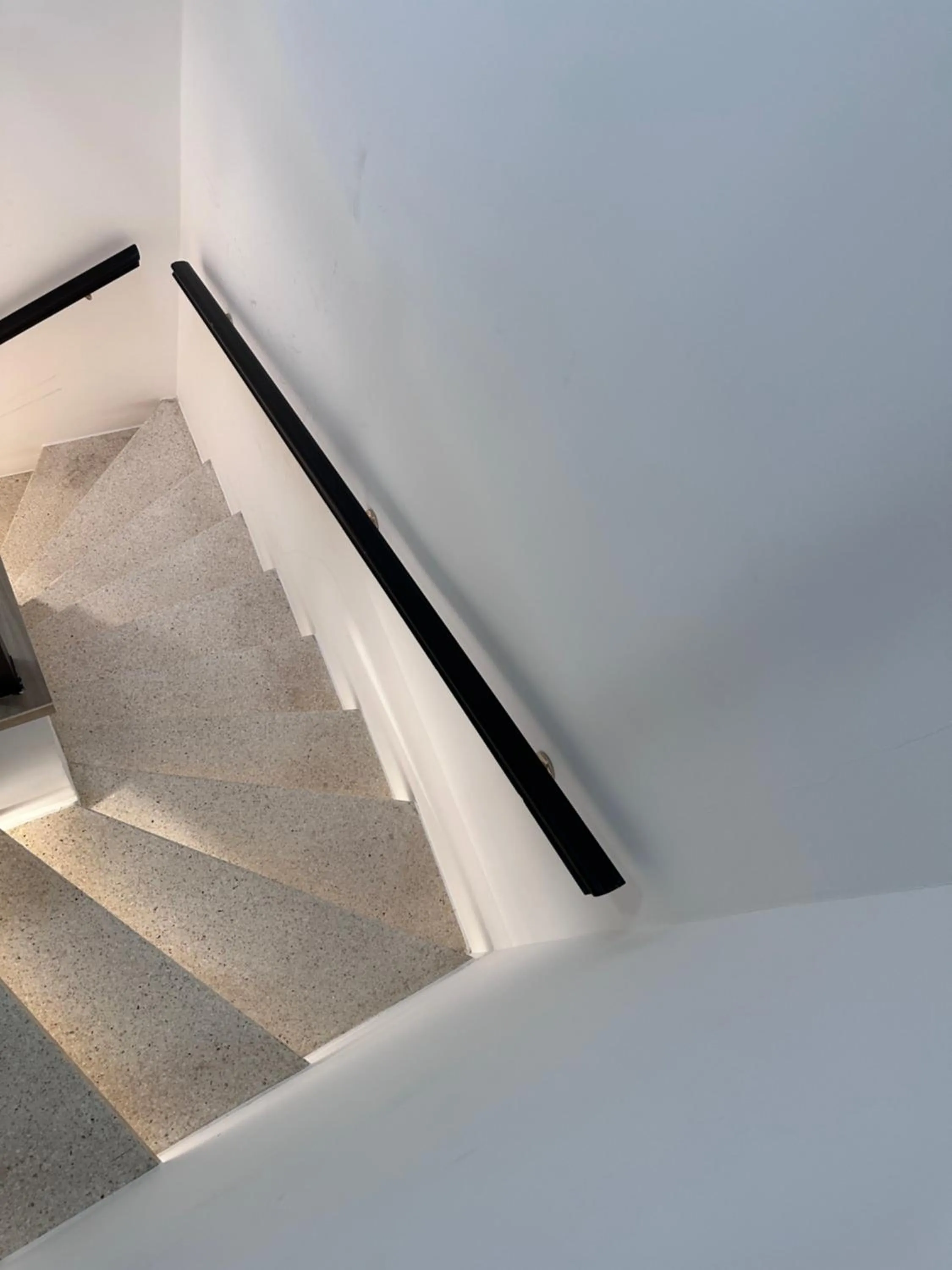 Area and facilities in Hotel Albert