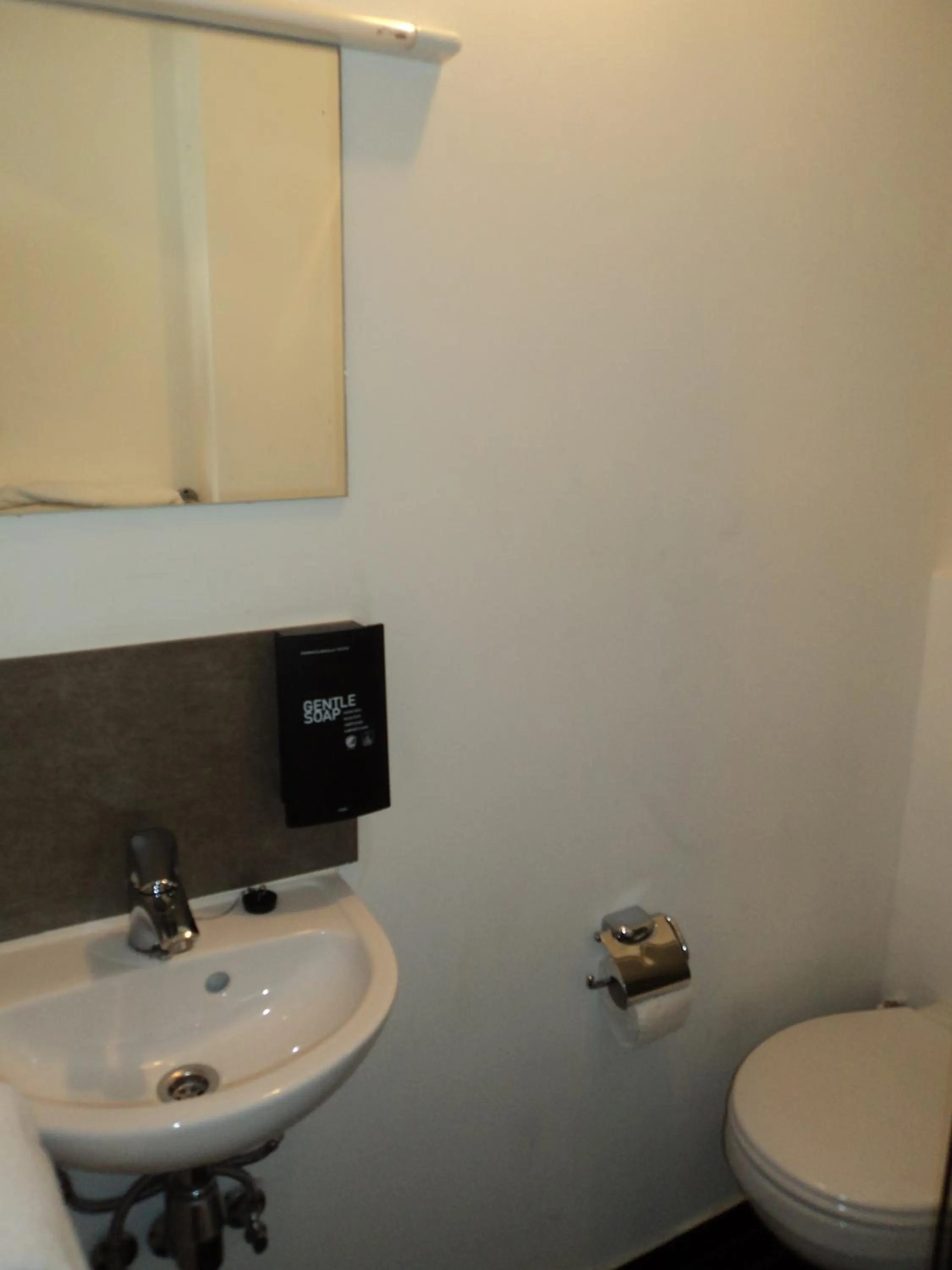 Toilet, Bathroom in Albert Hotel