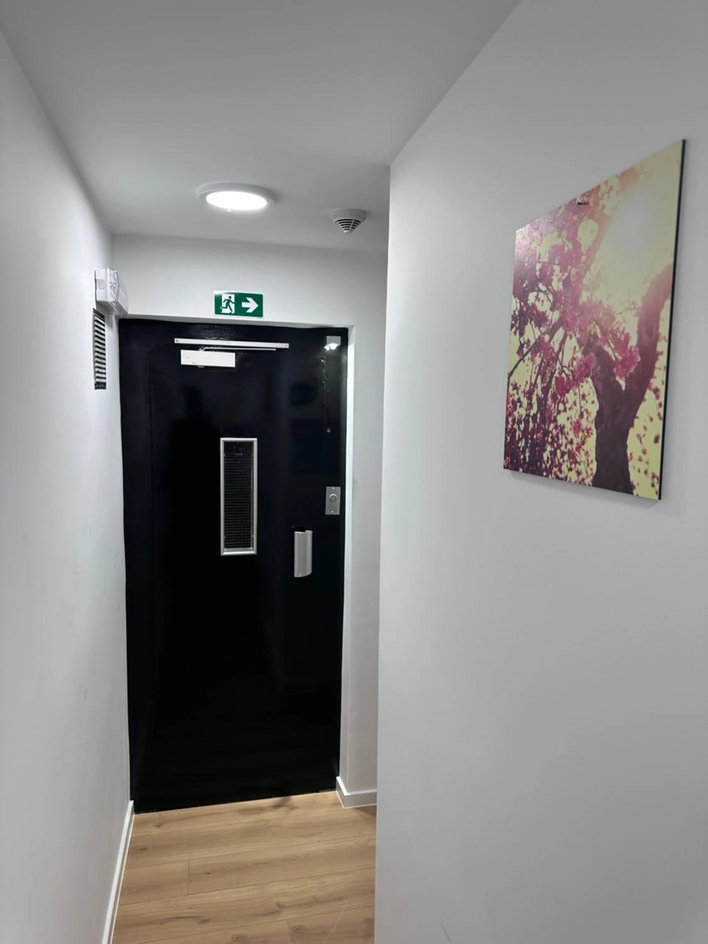 Area and facilities in Hotel Albert