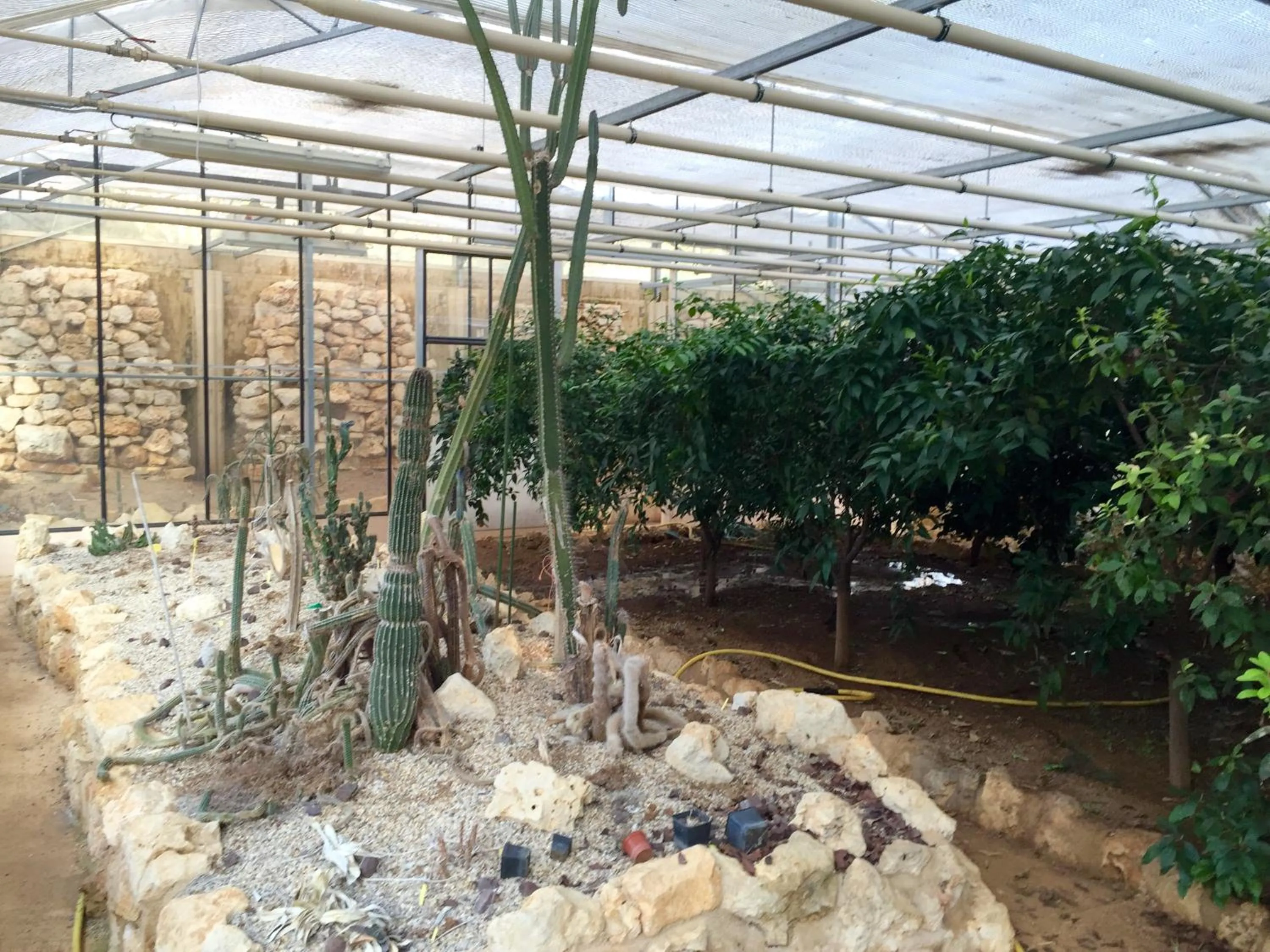 Property building in Le Belvédère