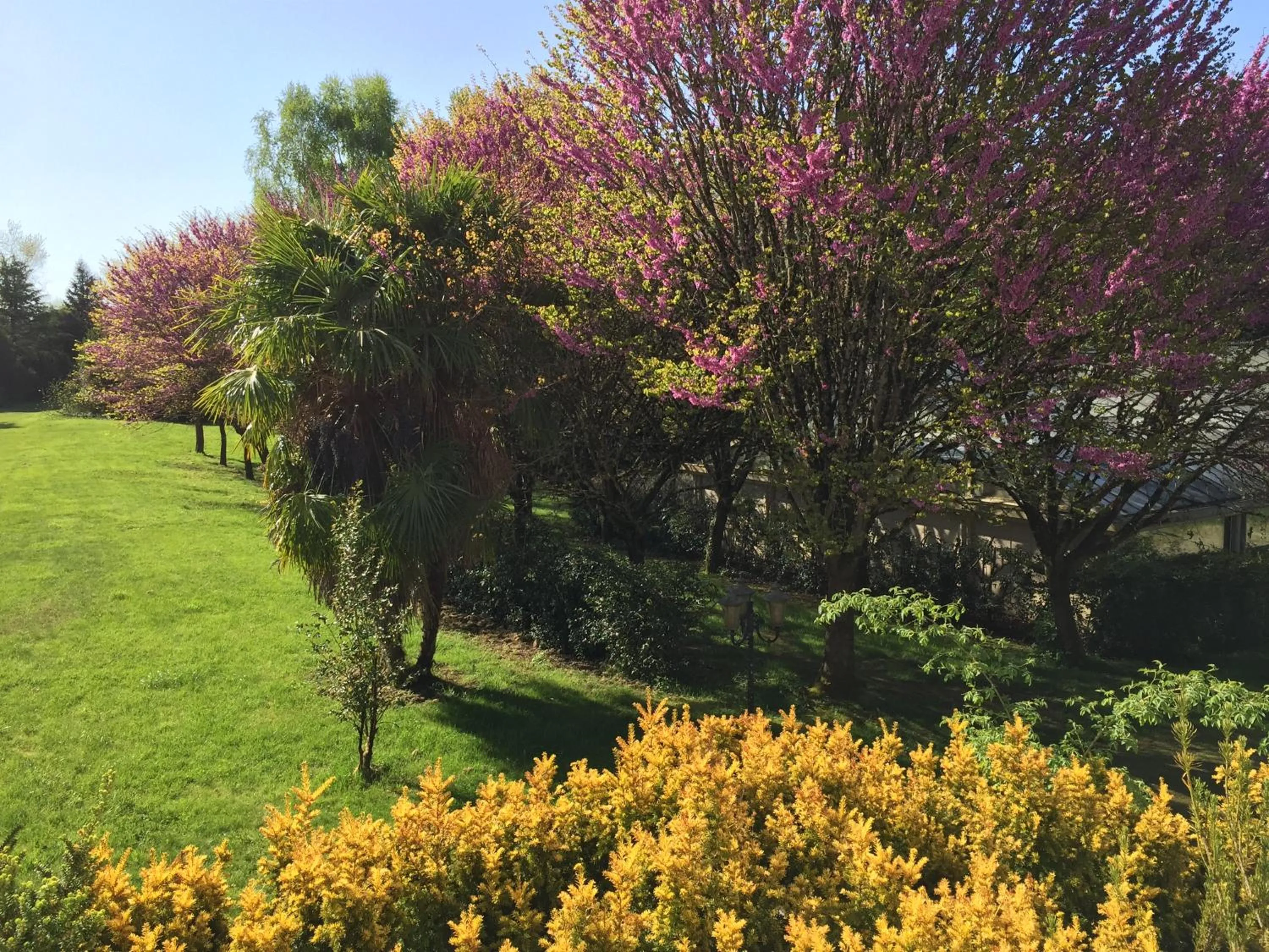 Garden in Le Belvédère