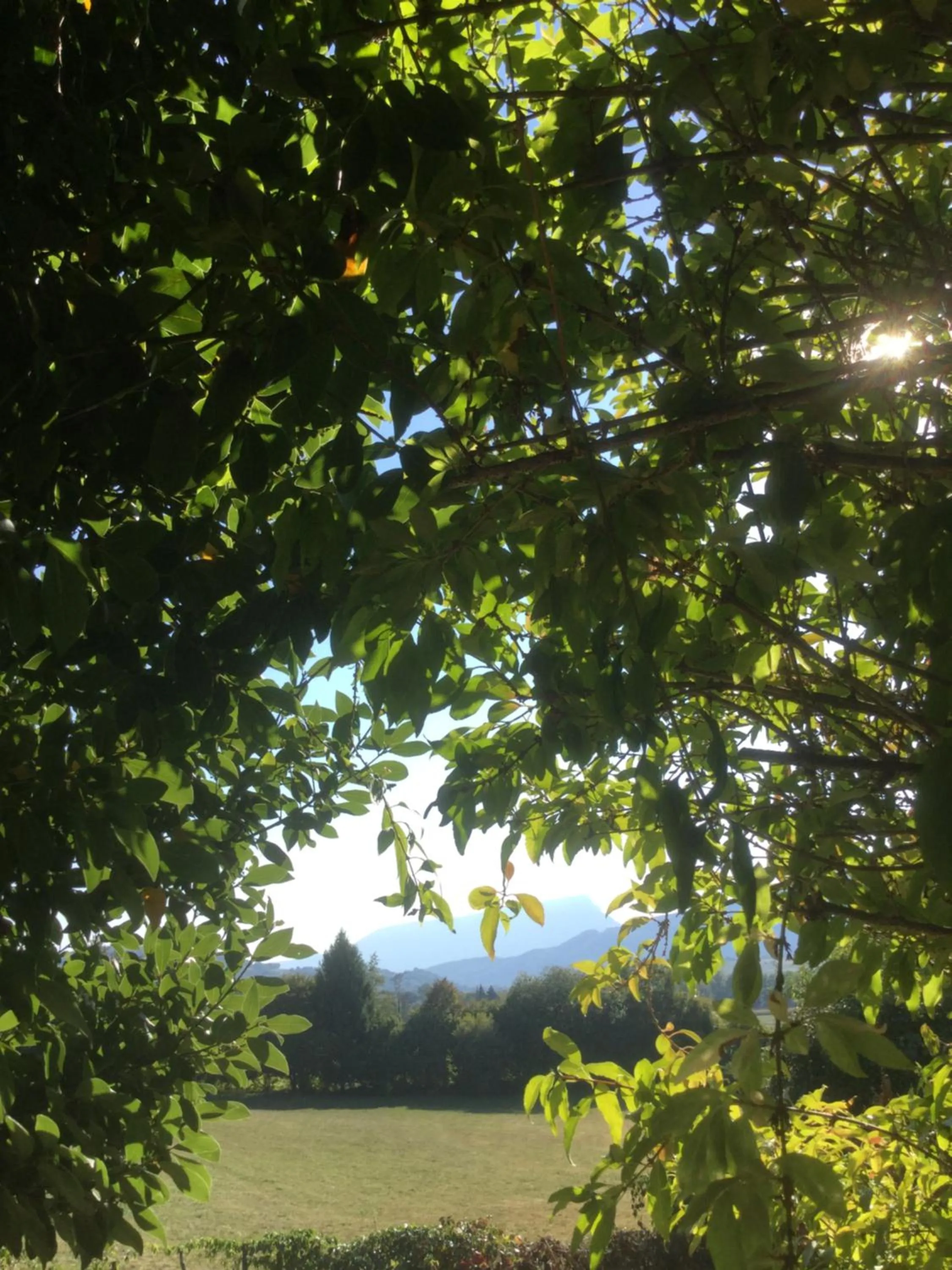 Natural landscape in Antre Lacs