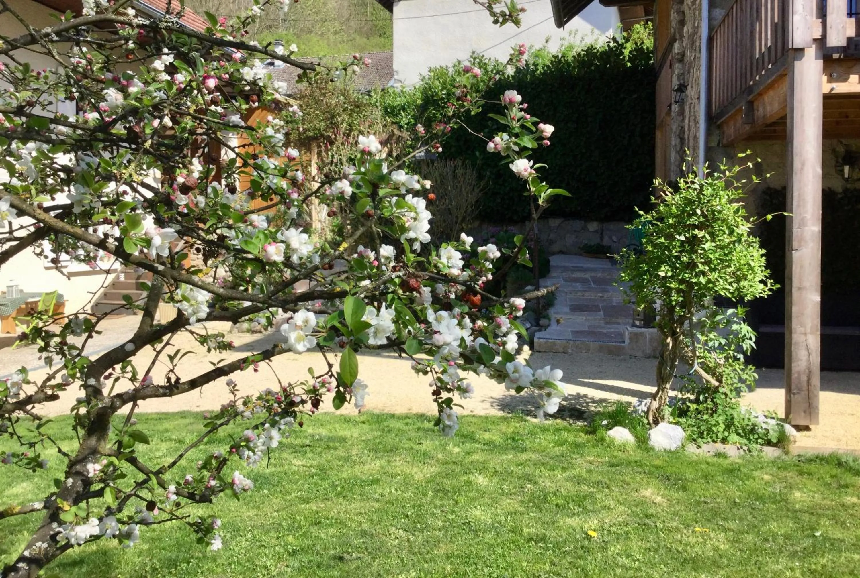 Spring in Antre Lacs