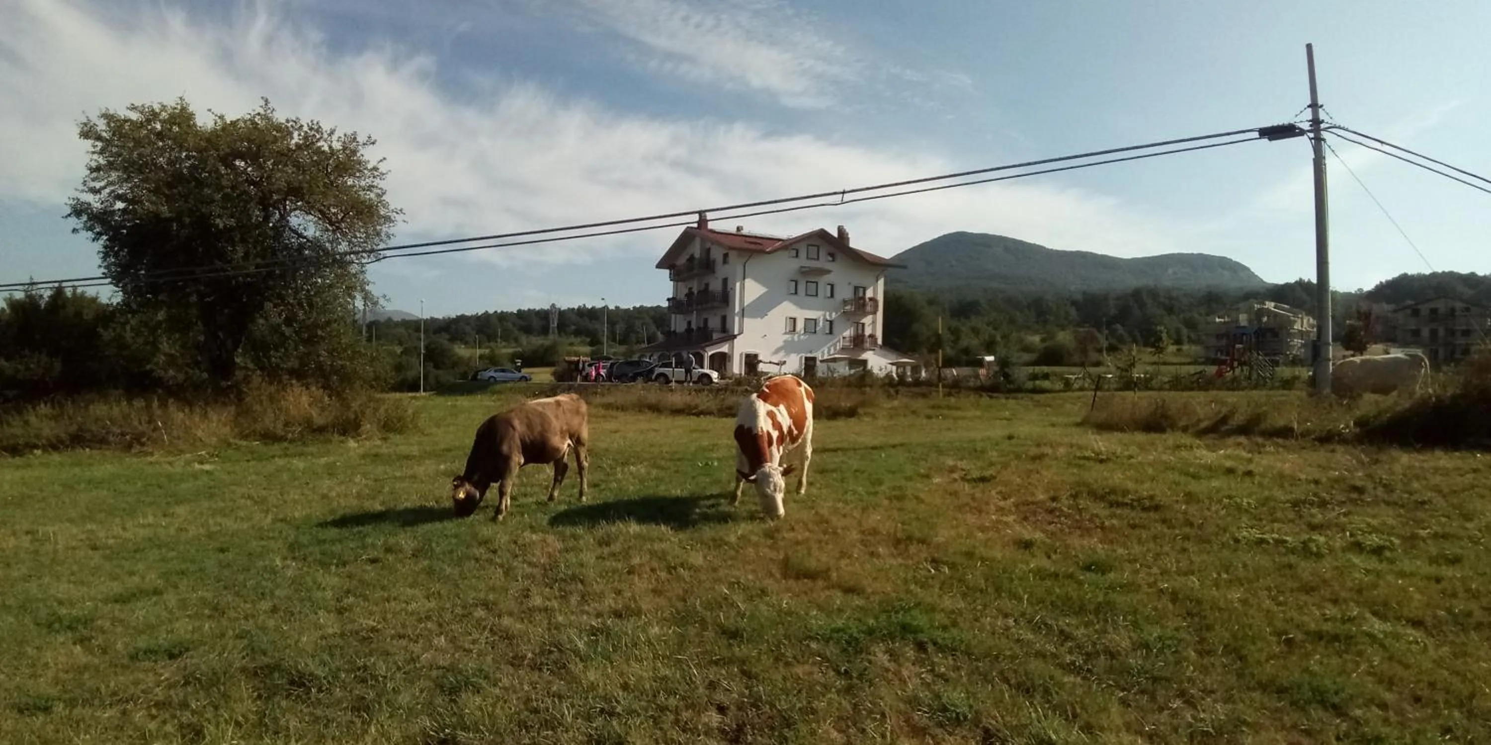 Natural landscape in Hotel Il Bucaneve