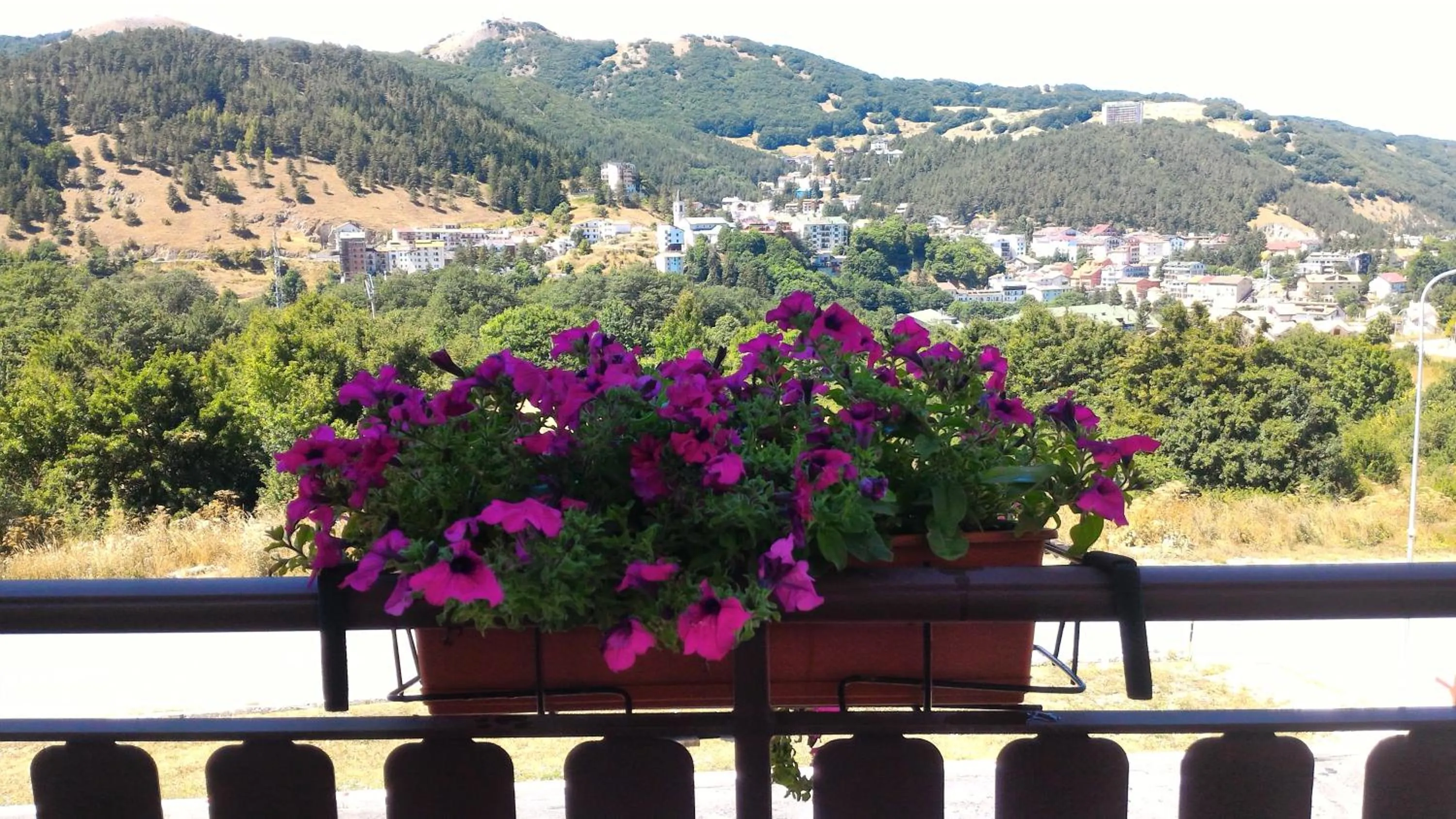 City view in Hotel Il Bucaneve